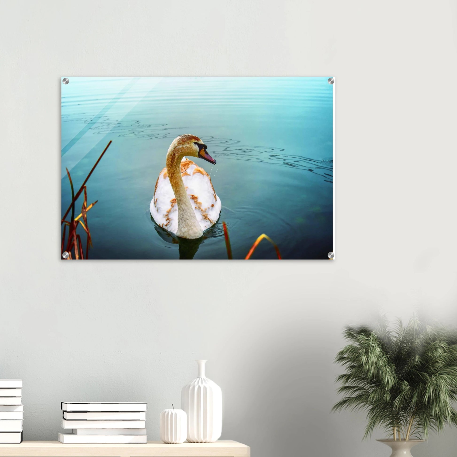 361469dd-b8b2-4322-9c0b-d3633a2b5c6e