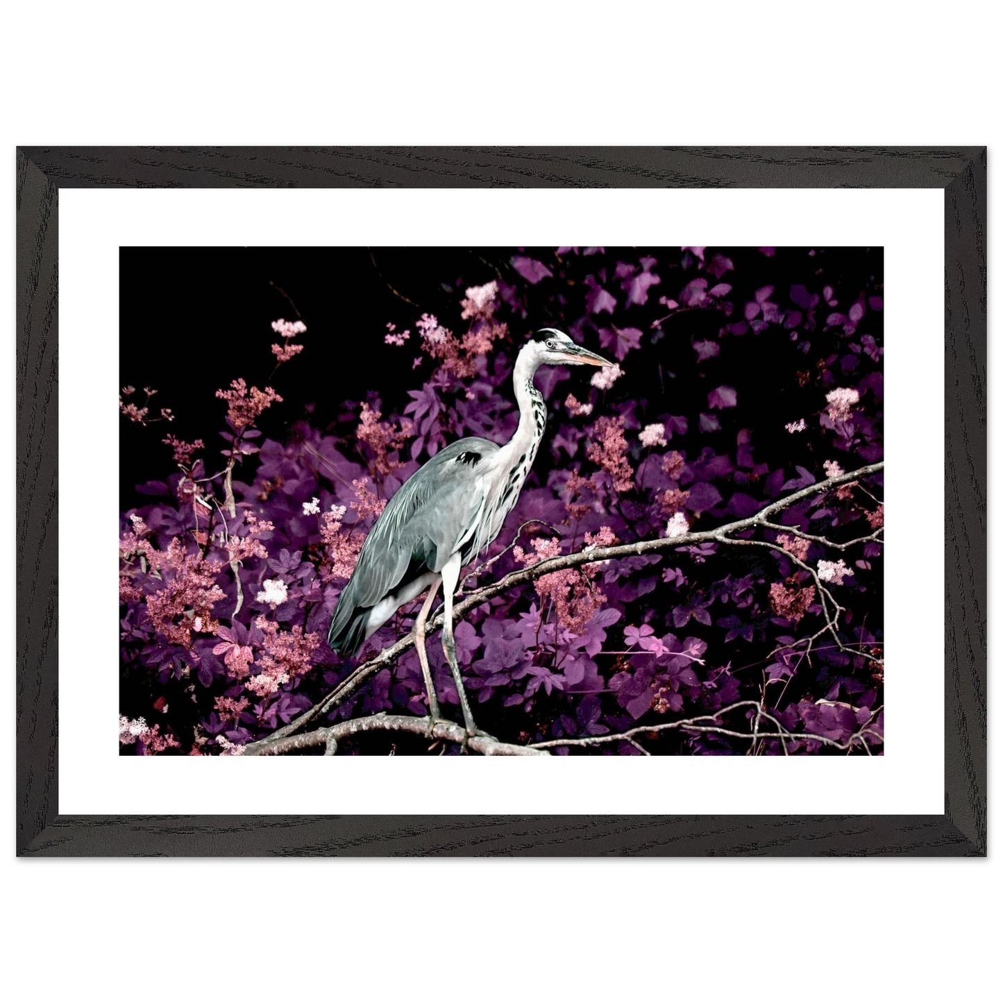 36ce5683-fe15-493d-a9f5-d0306c9c9fed