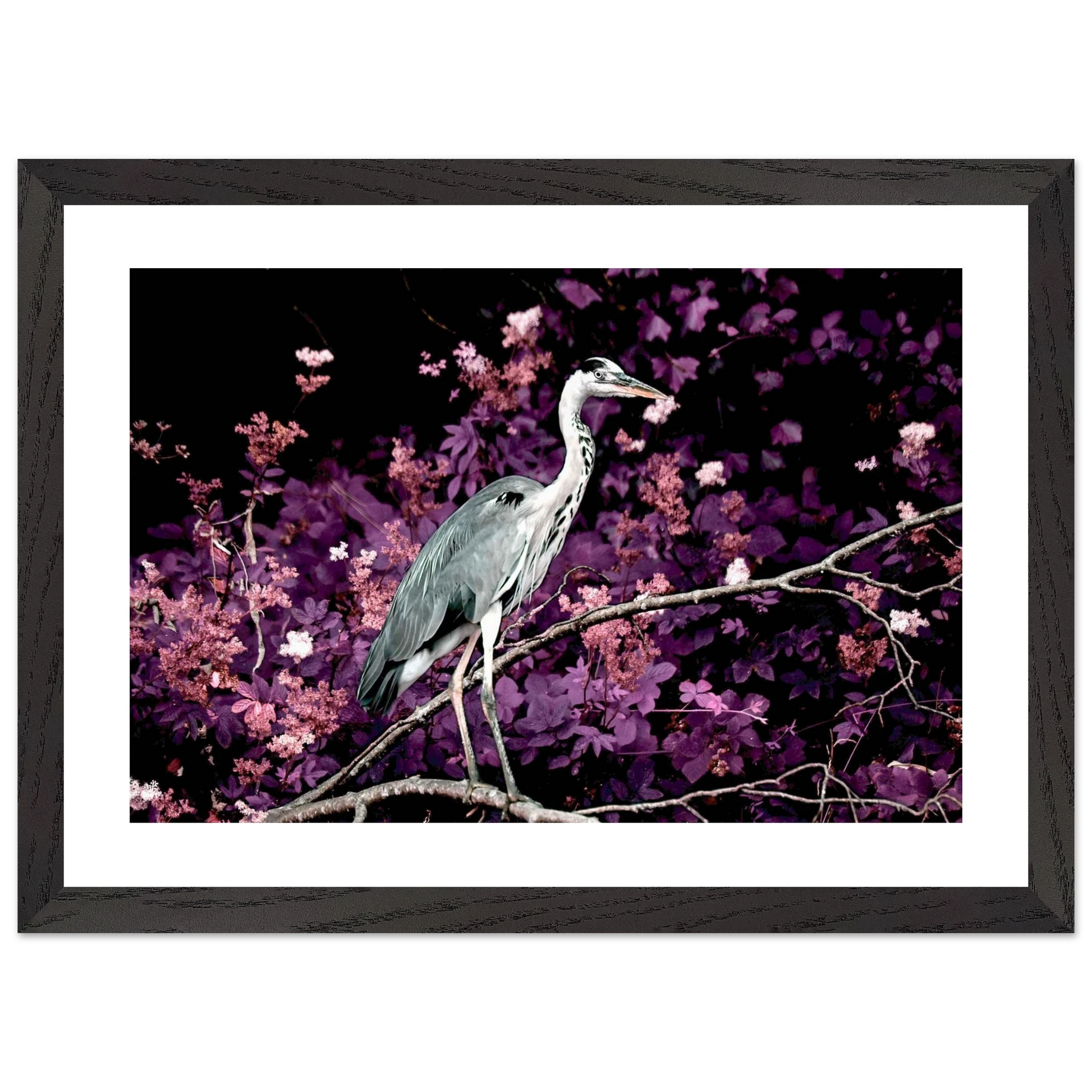 36ce5683-fe15-493d-a9f5-d0306c9c9fed