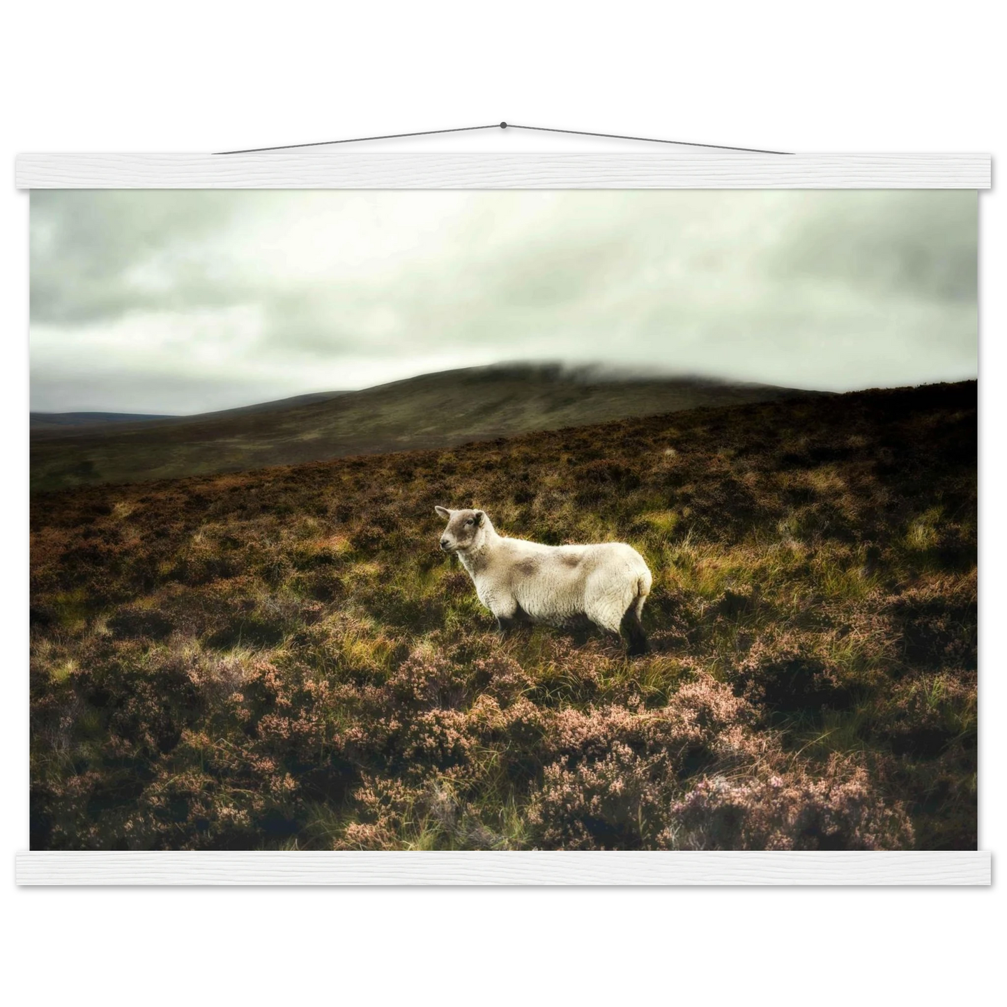 371e7633-c851-419c-9beb-56cd79b732ea