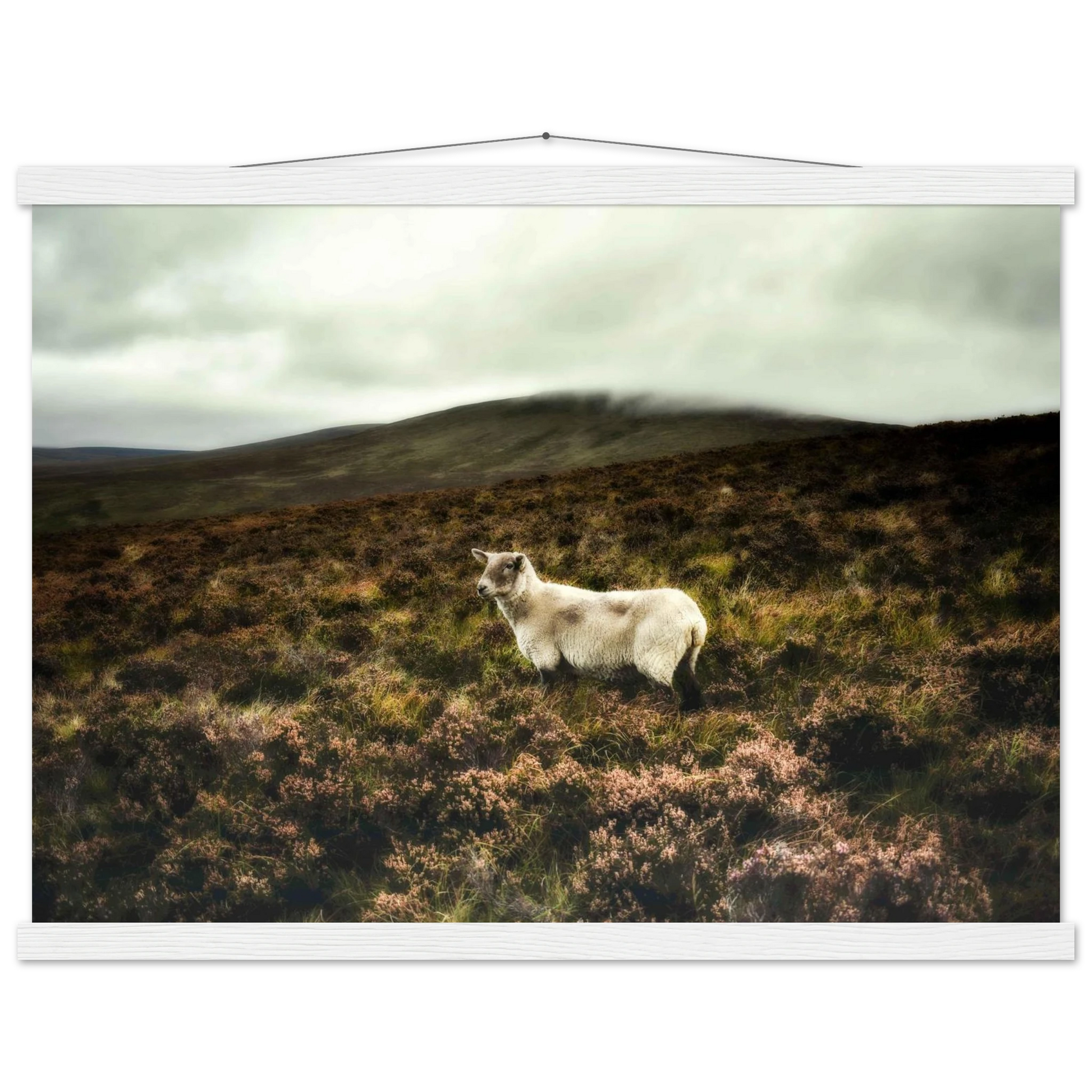 371e7633-c851-419c-9beb-56cd79b732ea