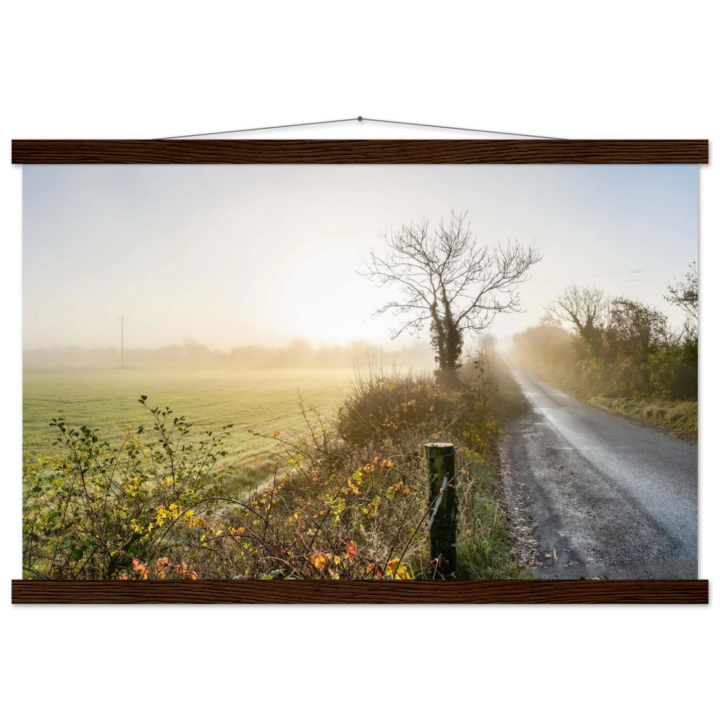 37c9dea8-0ac7-4534-87b0-ab9c49eb0c01