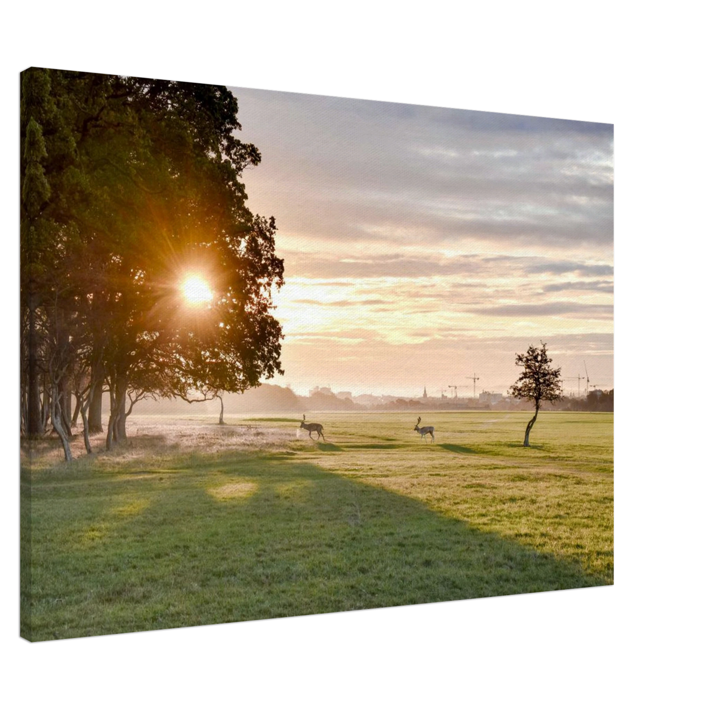 37ea828d-692a-40cc-b3f5-10899cf4a903