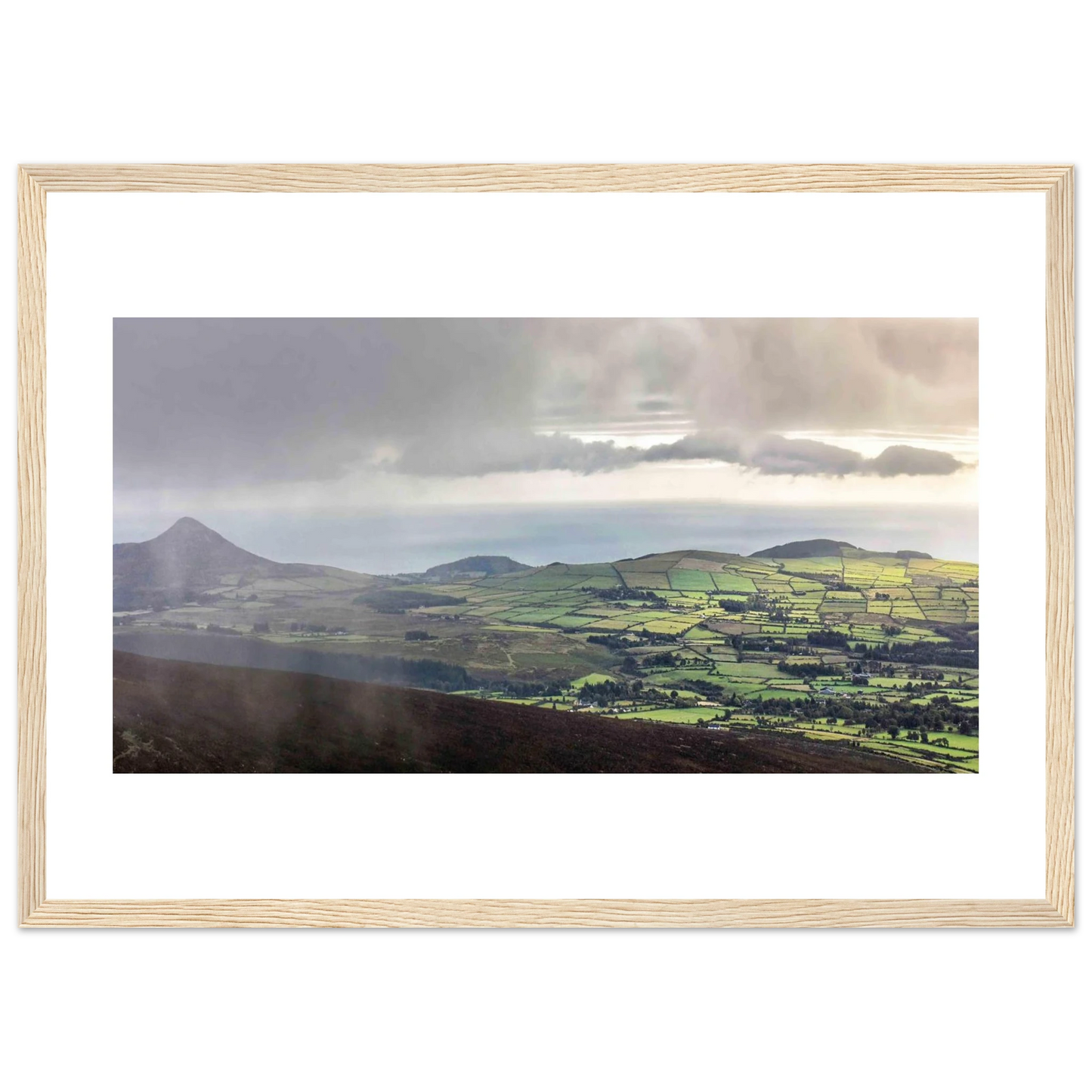 387885e0-b790-43df-b3c6-ac6159e83e81