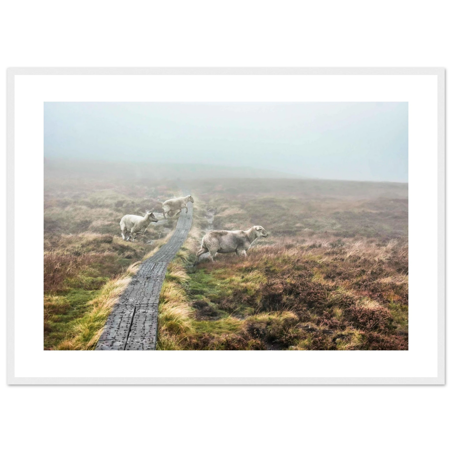 38803eb9-a3a7-4e3c-8758-bb8584a02663