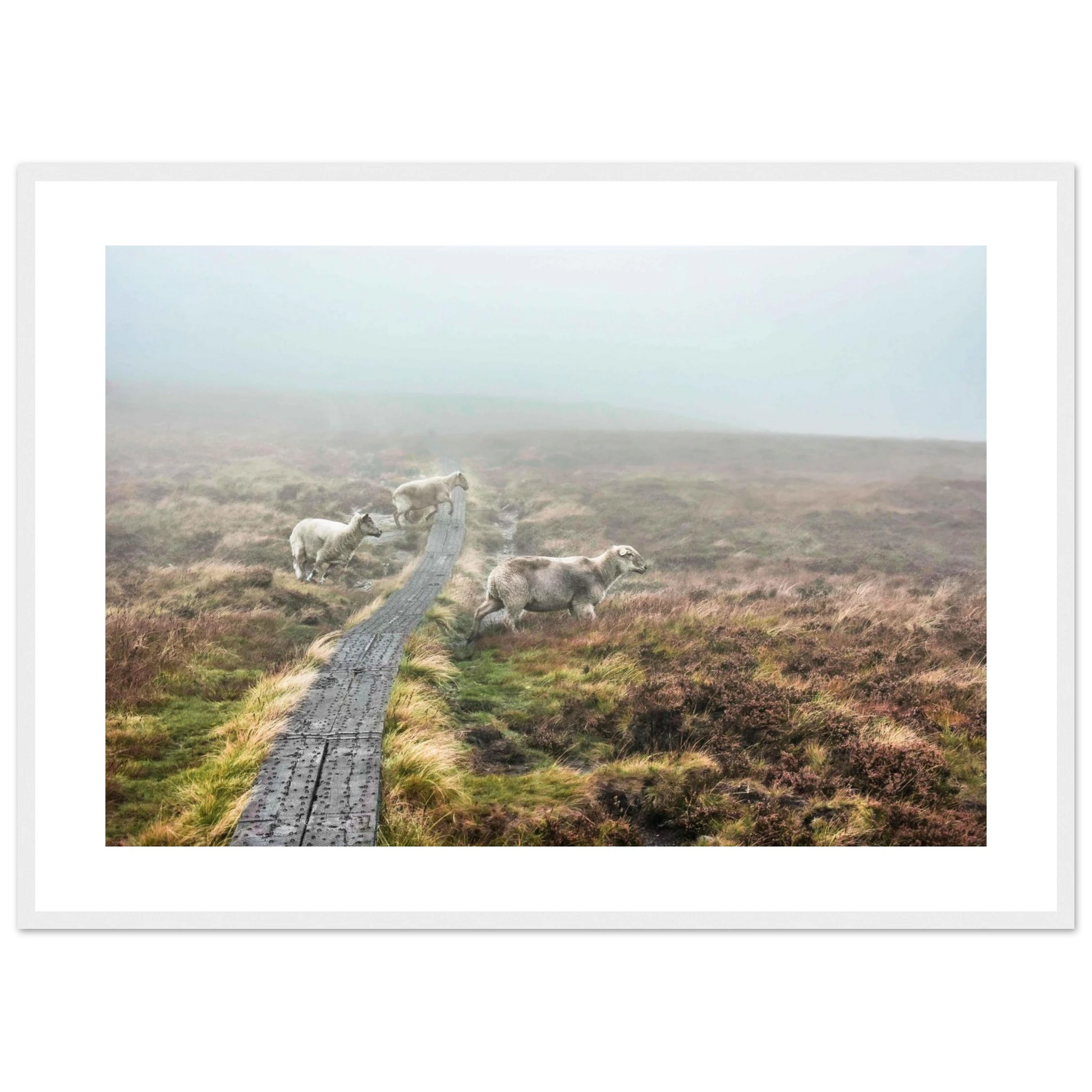 38803eb9-a3a7-4e3c-8758-bb8584a02663