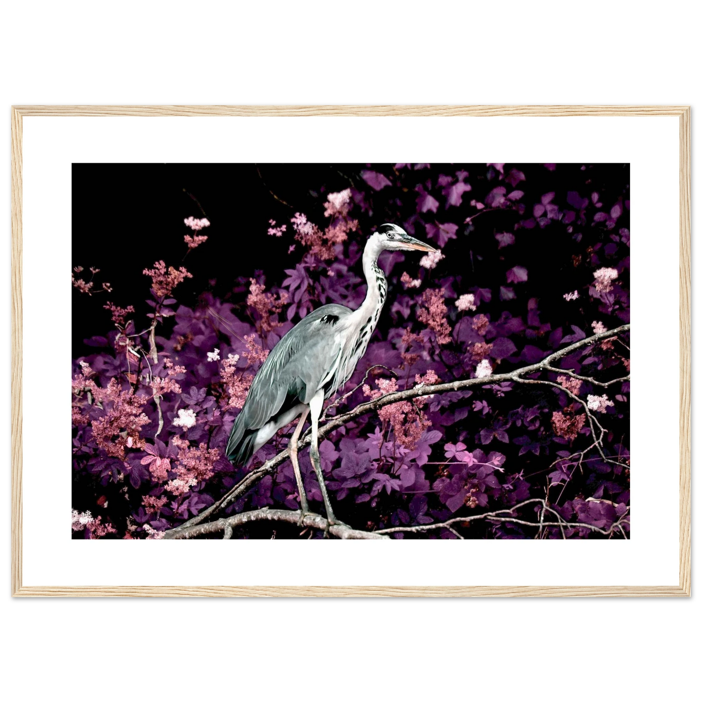 388a179b-d22a-4218-a5bb-f6e5e4aeac26