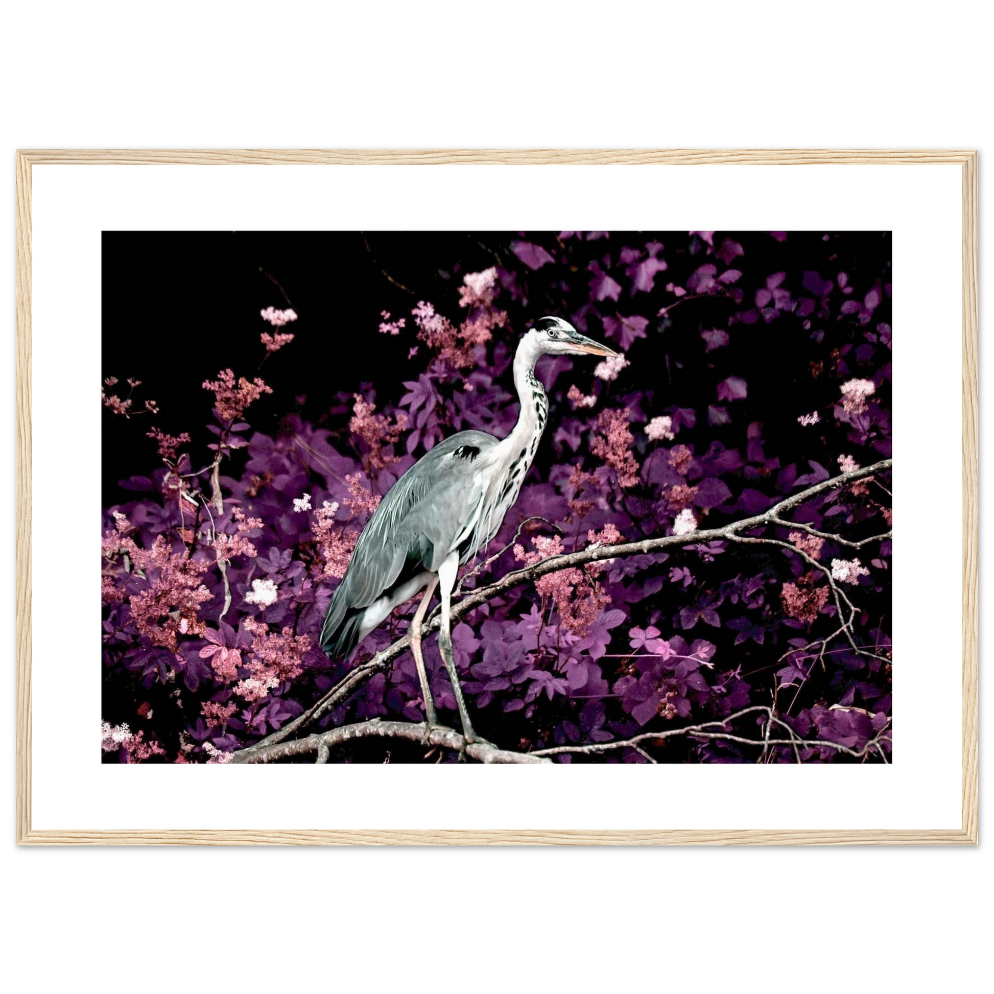 388a179b-d22a-4218-a5bb-f6e5e4aeac26