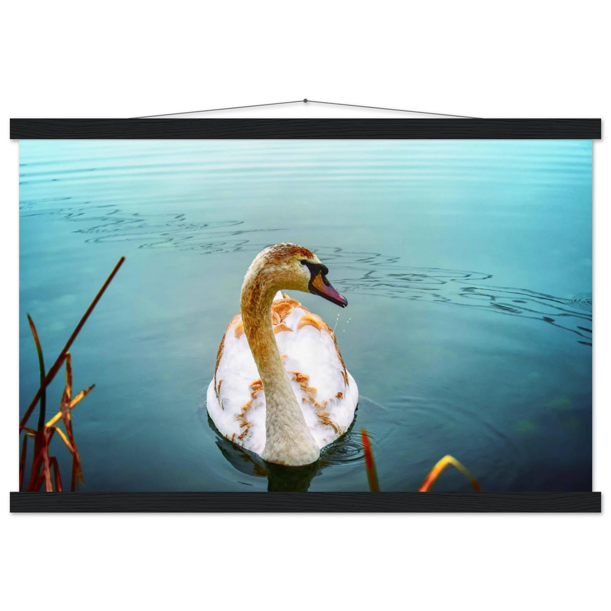 38c17910-f2bb-4ad3-9af6-10c6ac3d0f0e