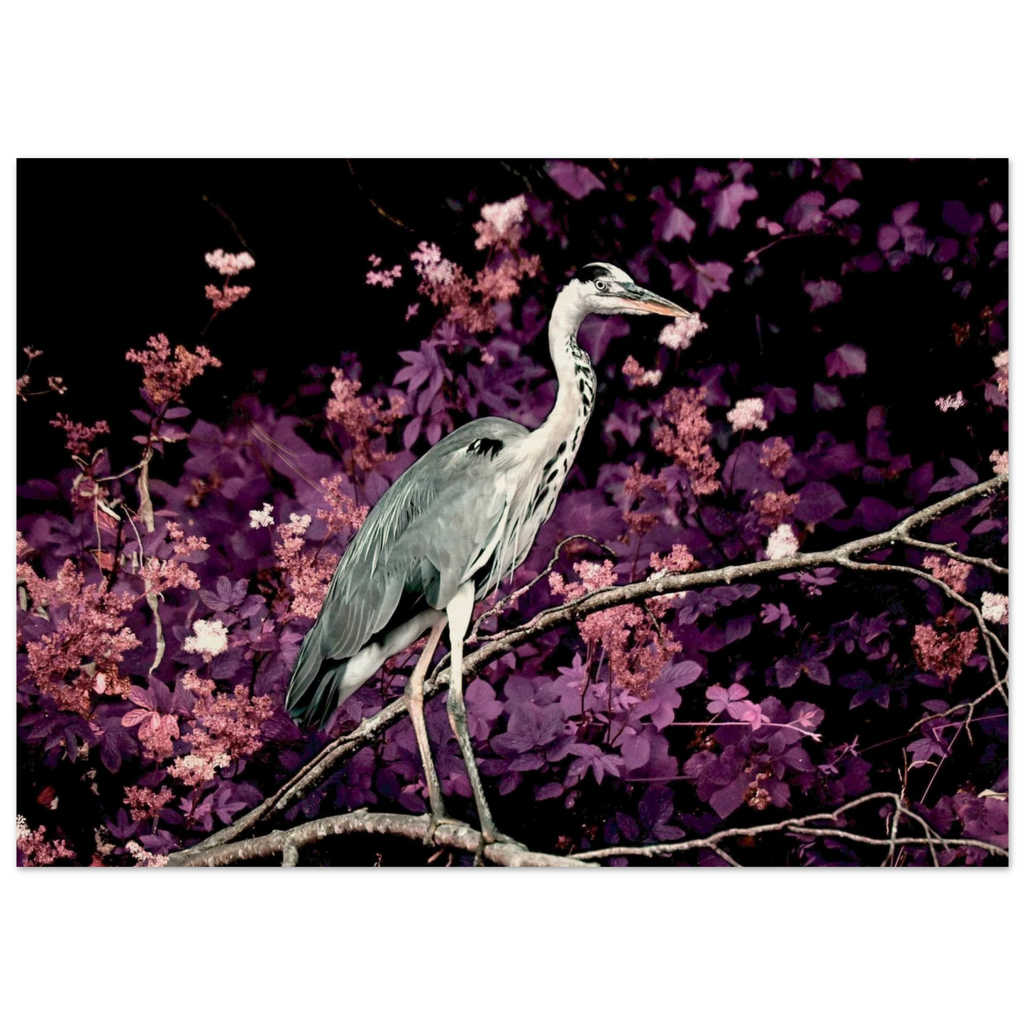 38d99a1f-f936-4dfa-a4b0-a54e821e5bf8