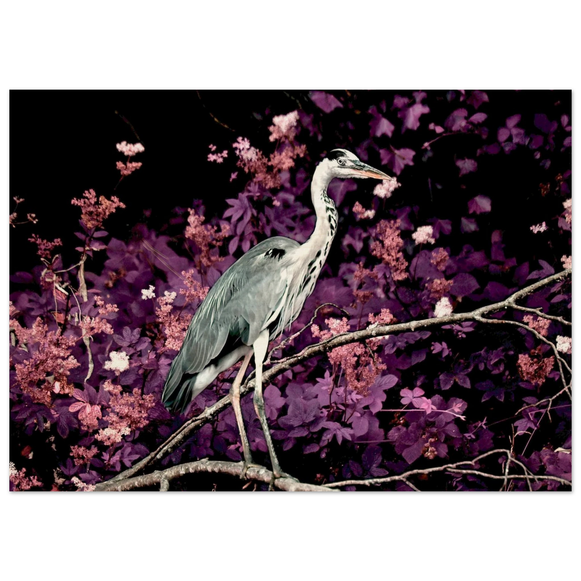 38d99a1f-f936-4dfa-a4b0-a54e821e5bf8