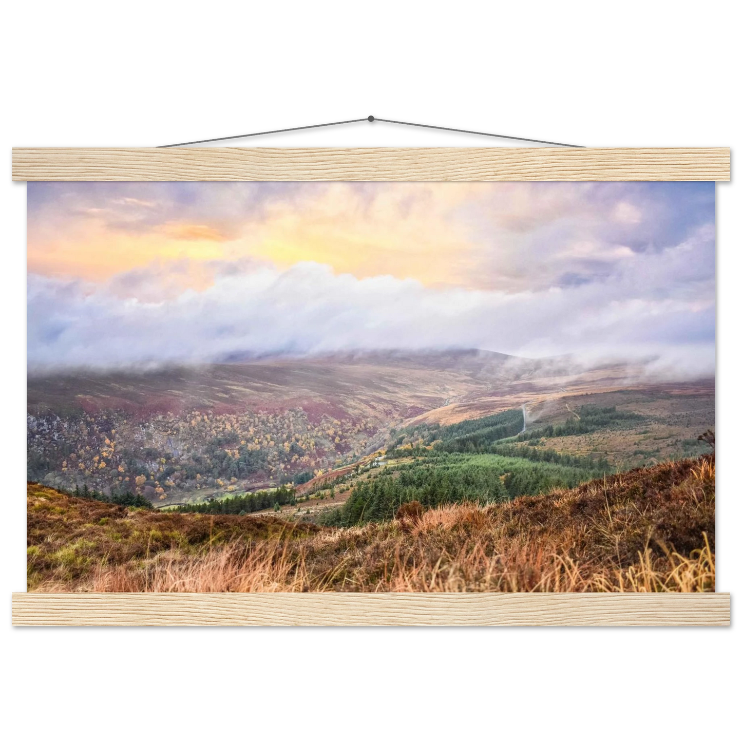 3945c273-b633-4b3c-b49e-90c1c62ebe5c