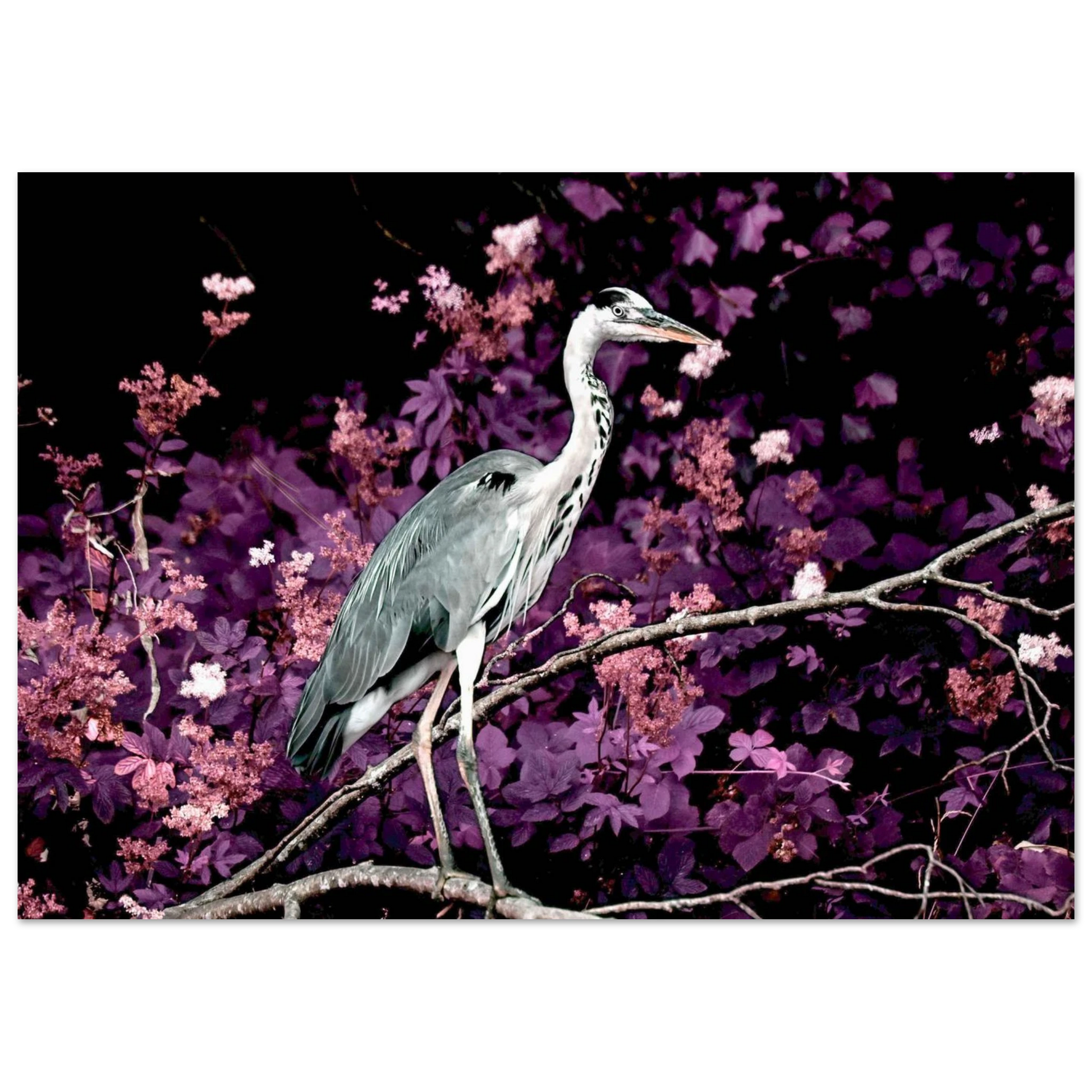 39dc06ca-e2a1-4048-bcb9-98d1364f9e2e