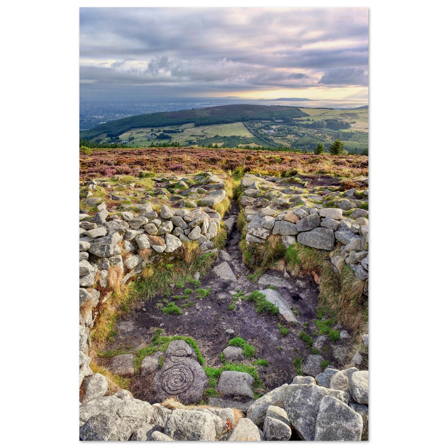 39e07604-fe74-4025-936a-5681795e1f2a