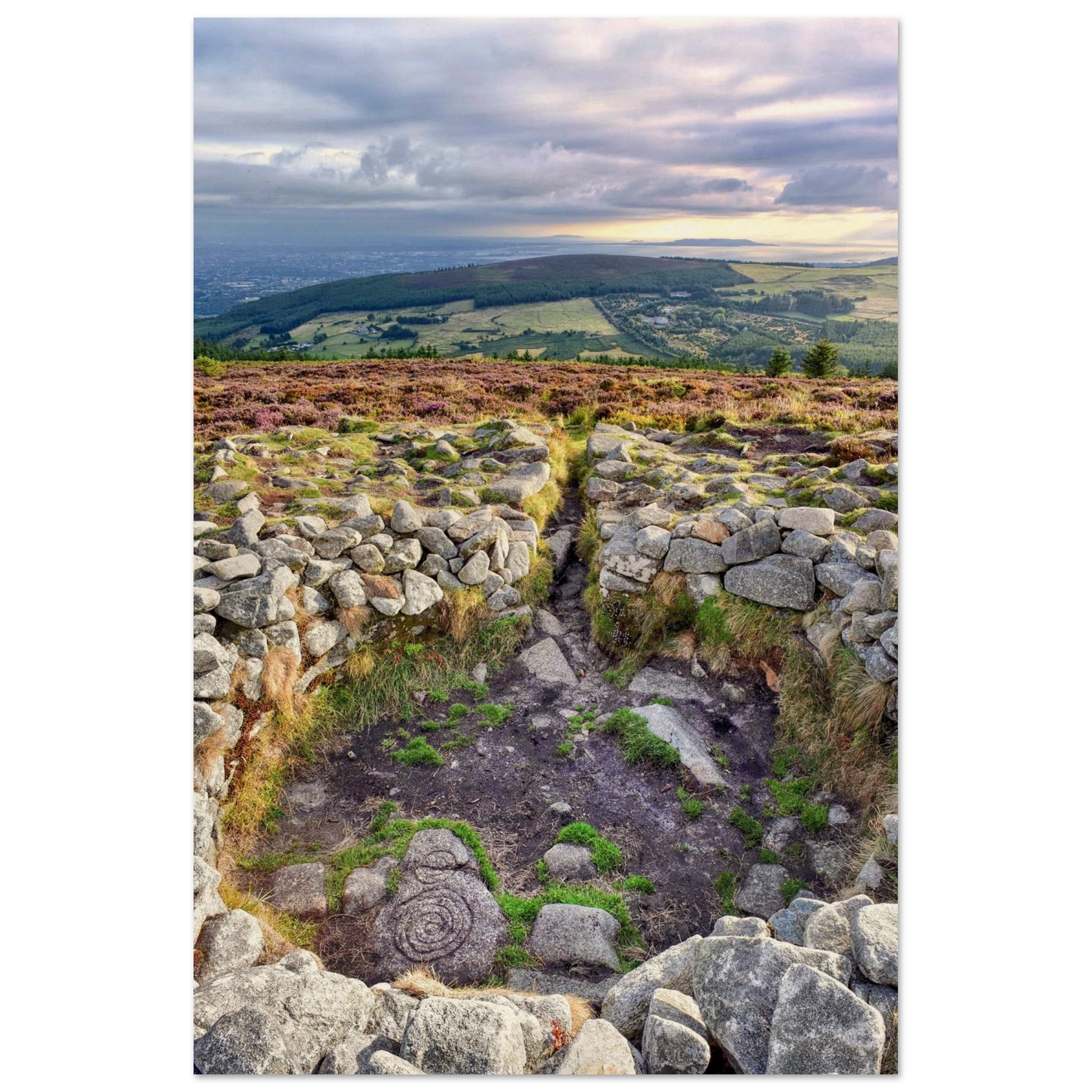 39e07604-fe74-4025-936a-5681795e1f2a