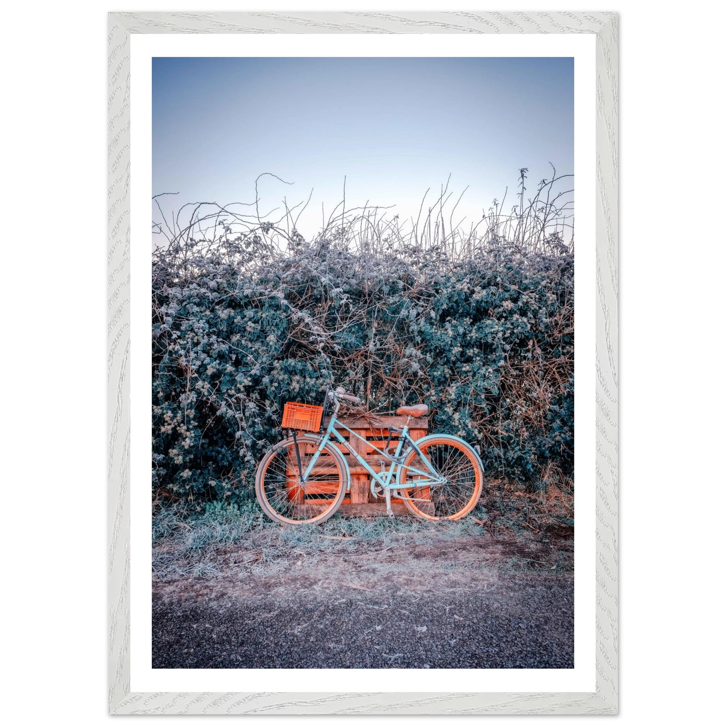 39eaaff2-922e-4dc2-bae0-11ecc7c1f54c