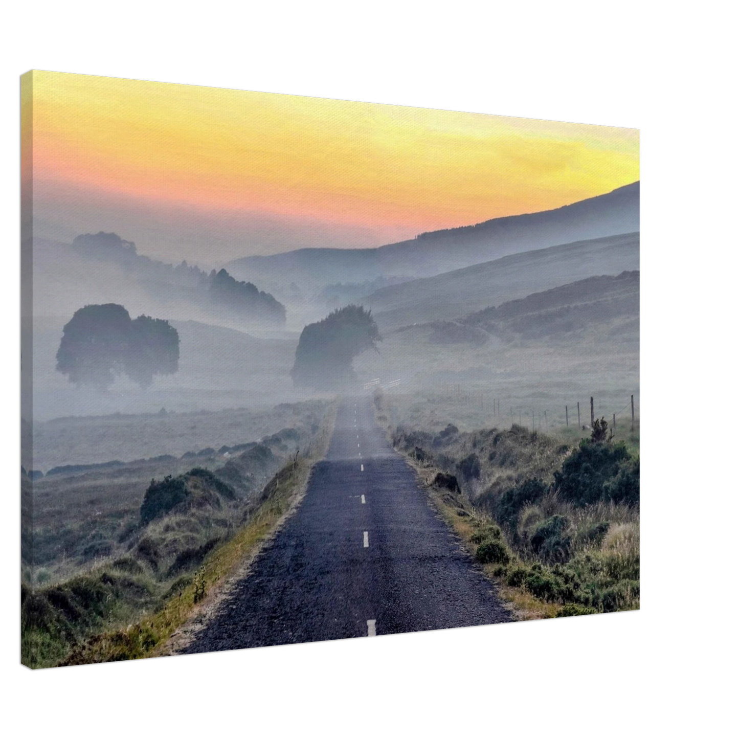 39fb5181-c8ab-4d38-9d95-f64f750f3d4b