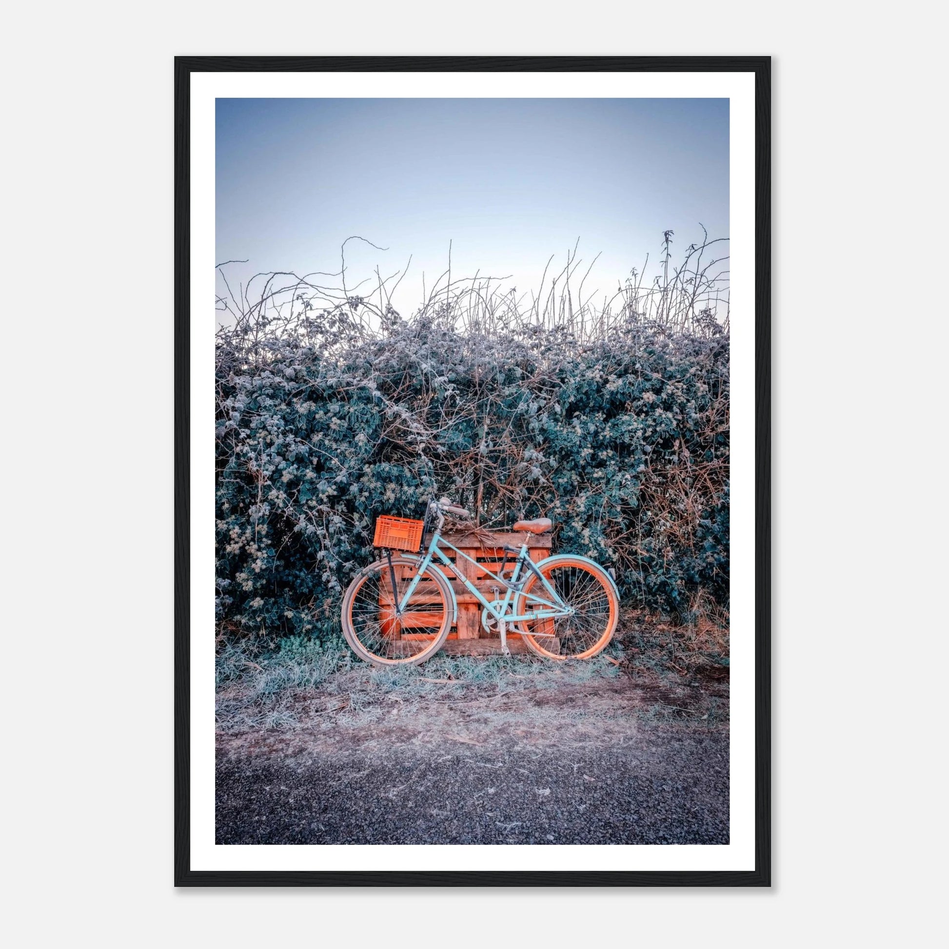 3a13af42-4520-4db6-b264-0ee081418755