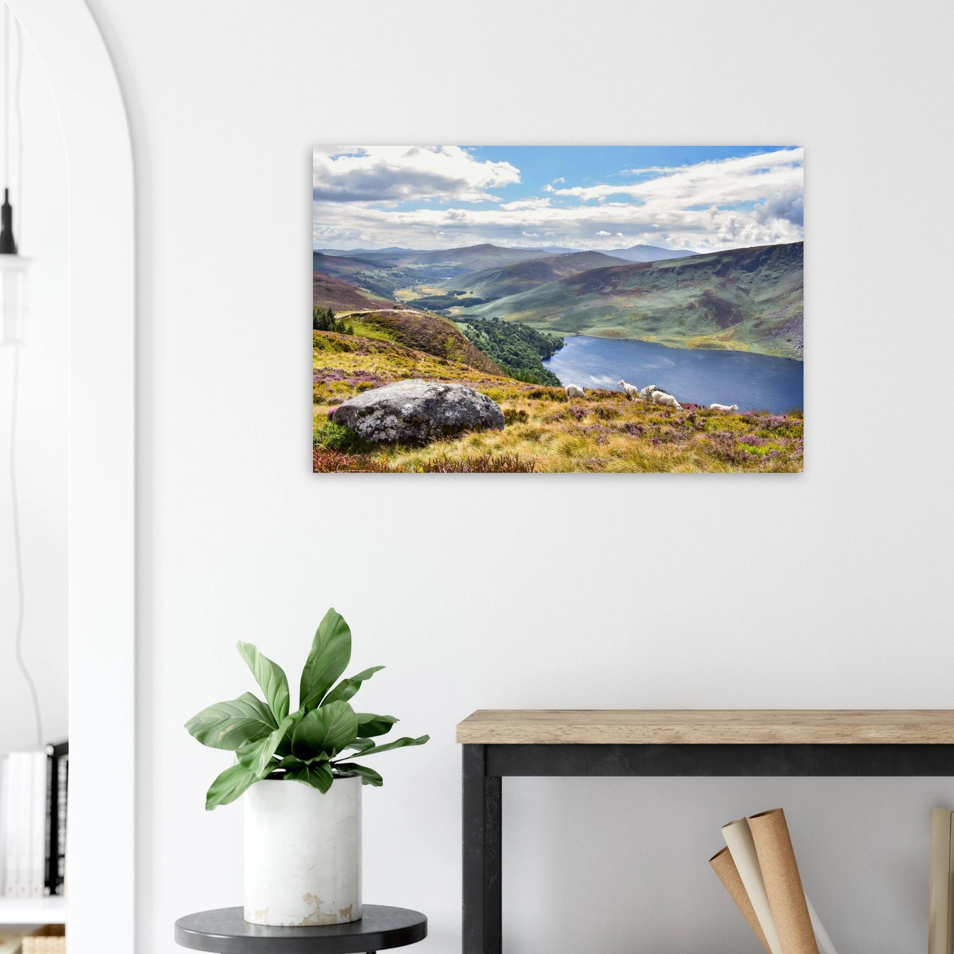 3a369b5c-025b-4c10-b5d0-8c0a54c800af