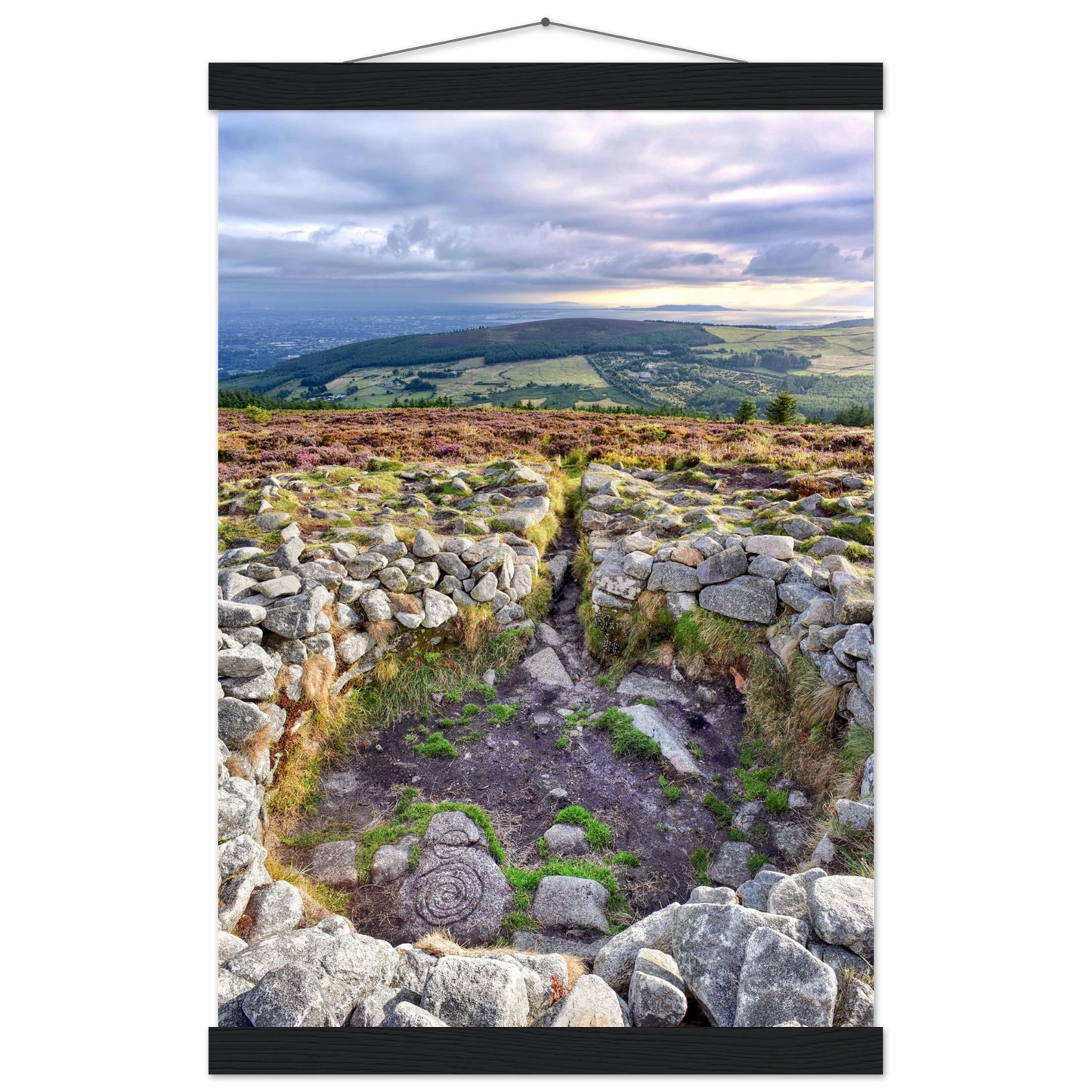 3a398ae0-8953-48fc-bd10-bff919a5045b