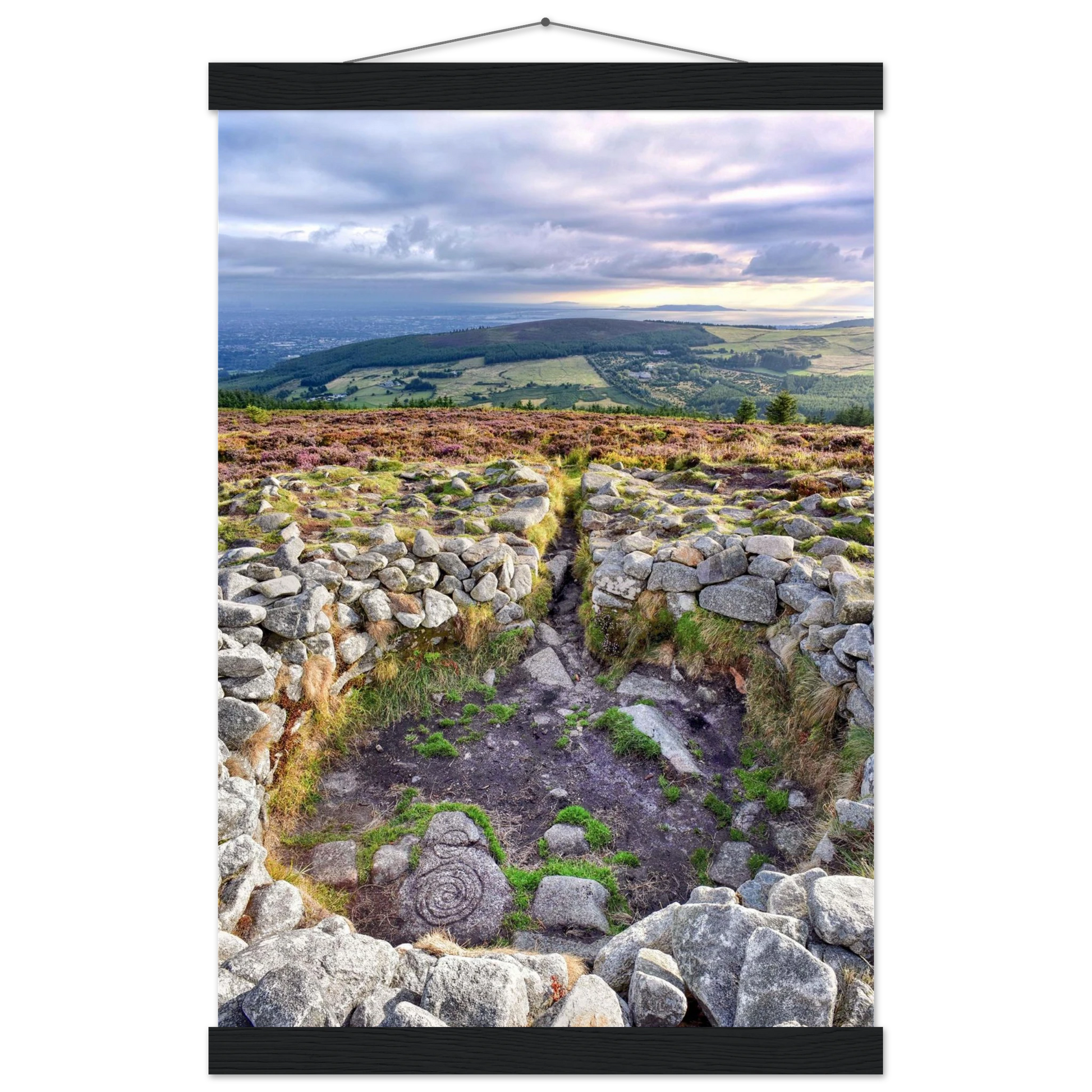 3a398ae0-8953-48fc-bd10-bff919a5045b