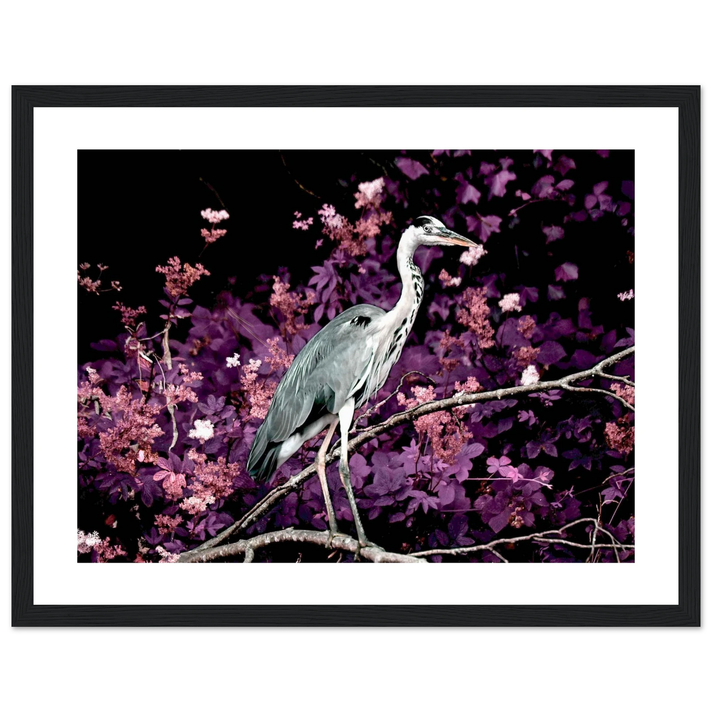 3a720589-7e21-4831-9a15-ad252b1e946e