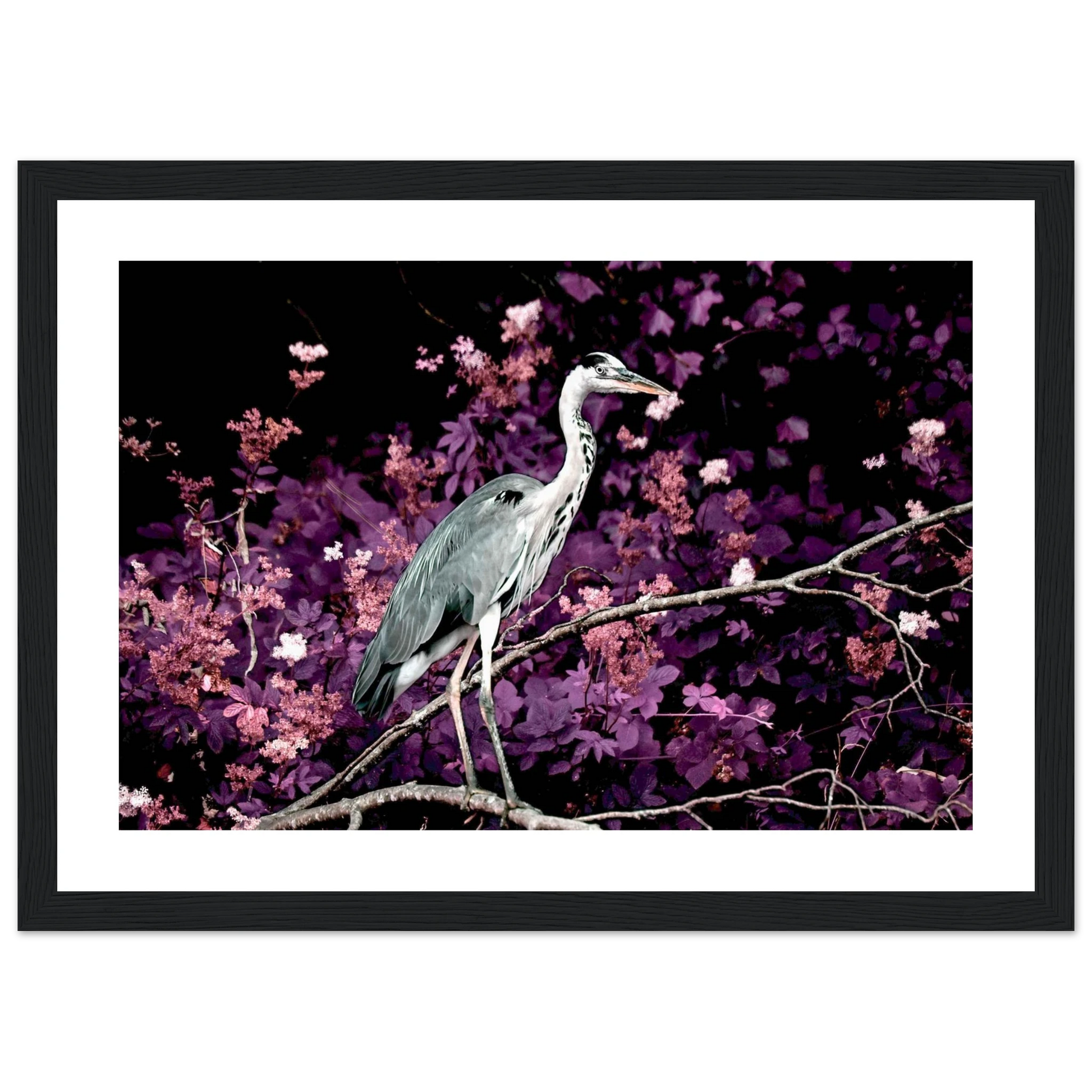 3adf210e-6ba0-414f-a1db-b85ccddd2b76