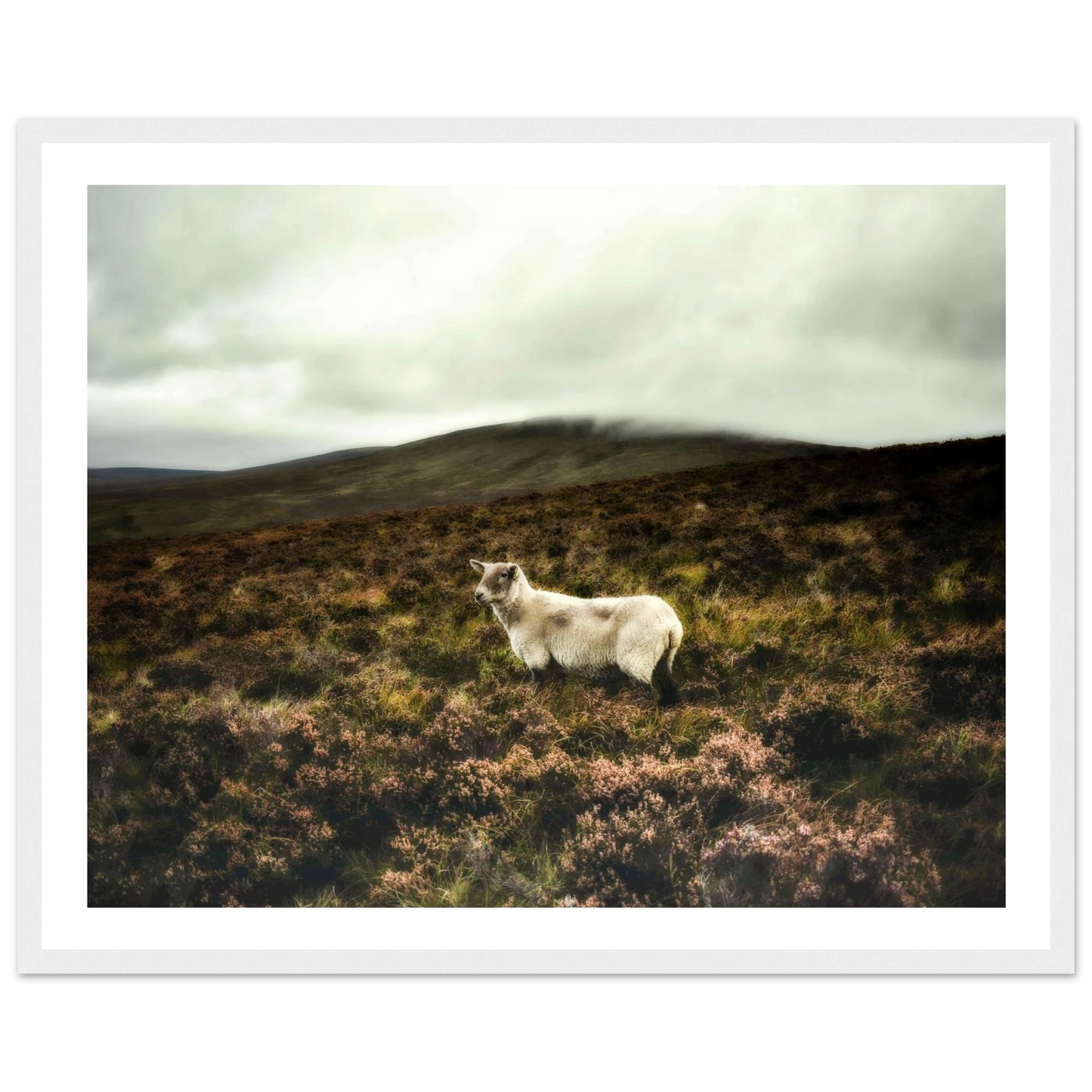 3b36d91d-c2d4-428c-b088-968ce5447fa8