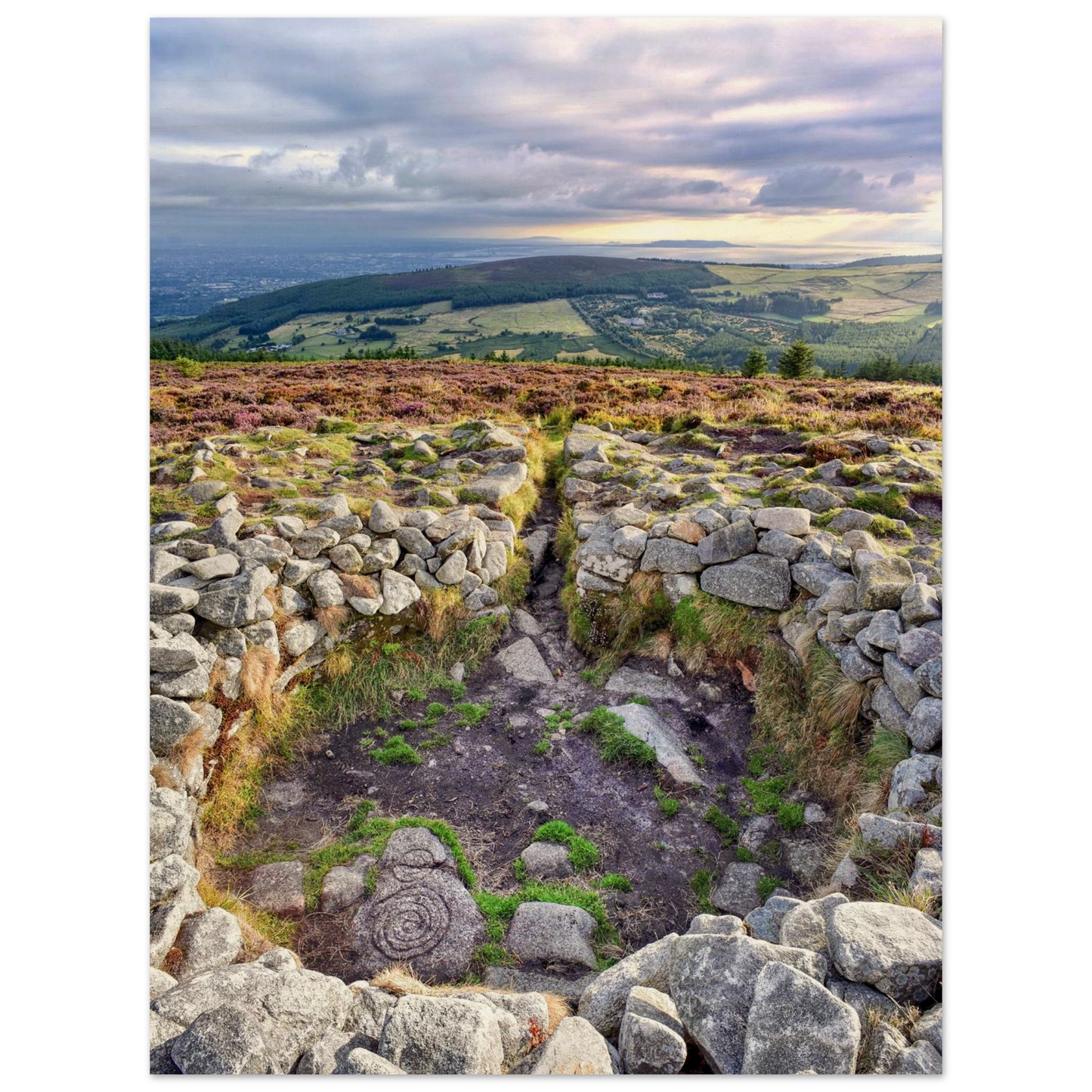 3bb8fc2f-f251-4719-a6e0-feba2fdd1c27