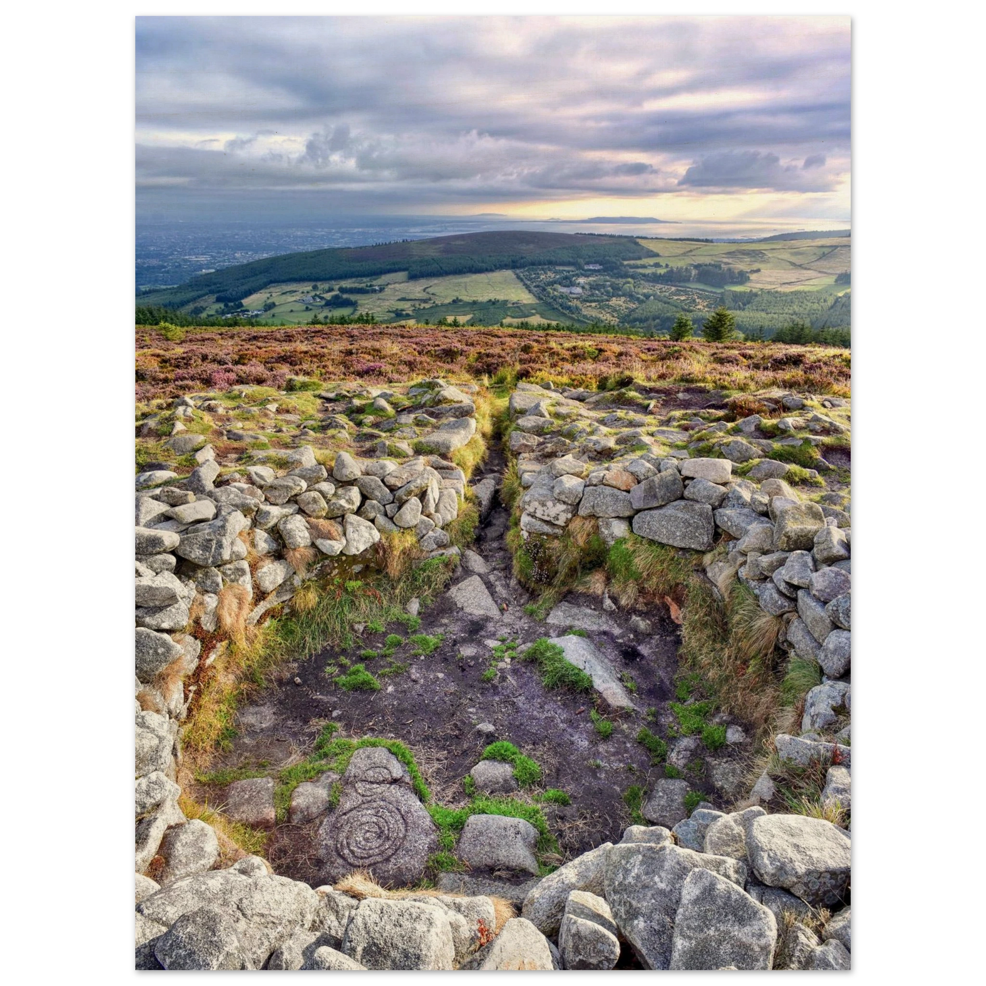 3bb8fc2f-f251-4719-a6e0-feba2fdd1c27