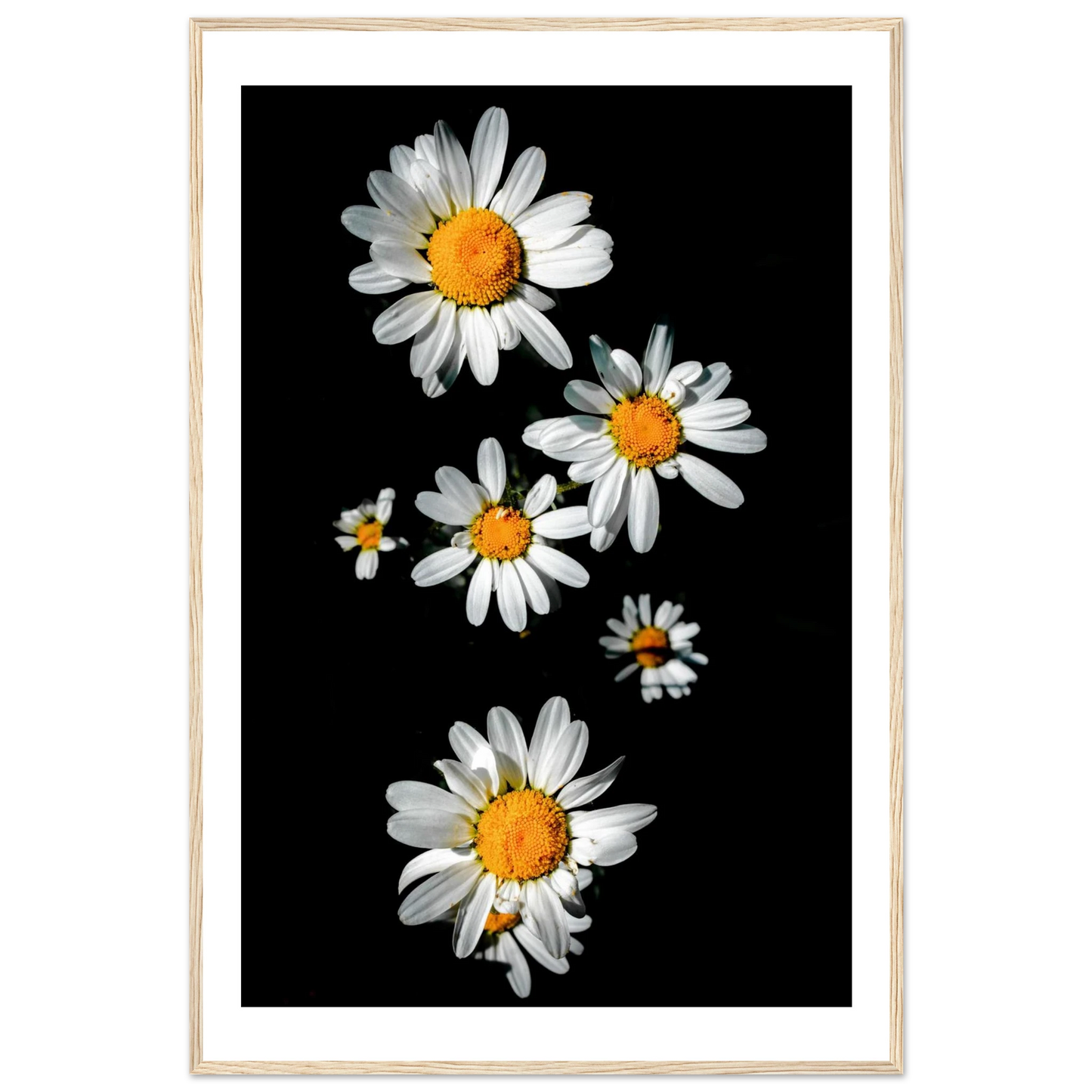 3bd0309c-2431-478a-aa29-bc9ffe3494c8