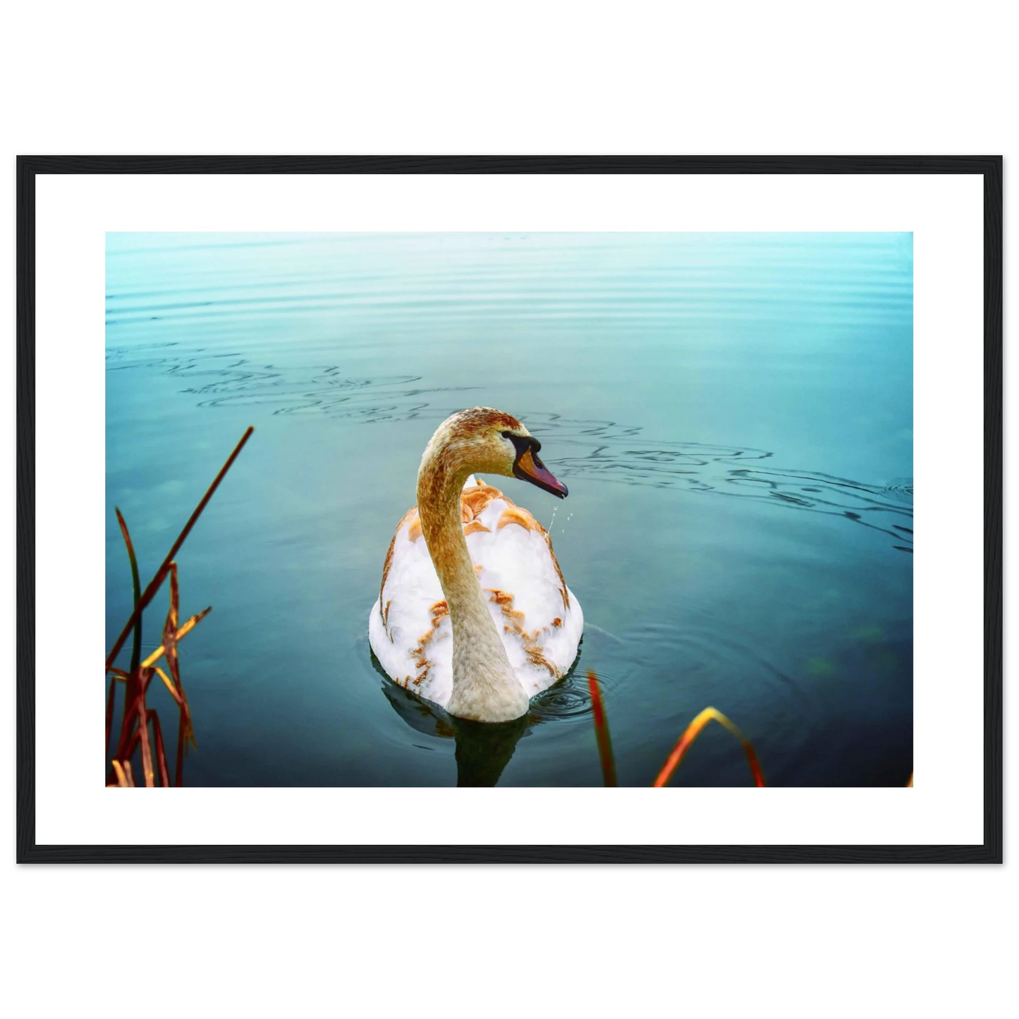 3d6d536b-03cd-48d6-be3f-5e98f9c94a9c