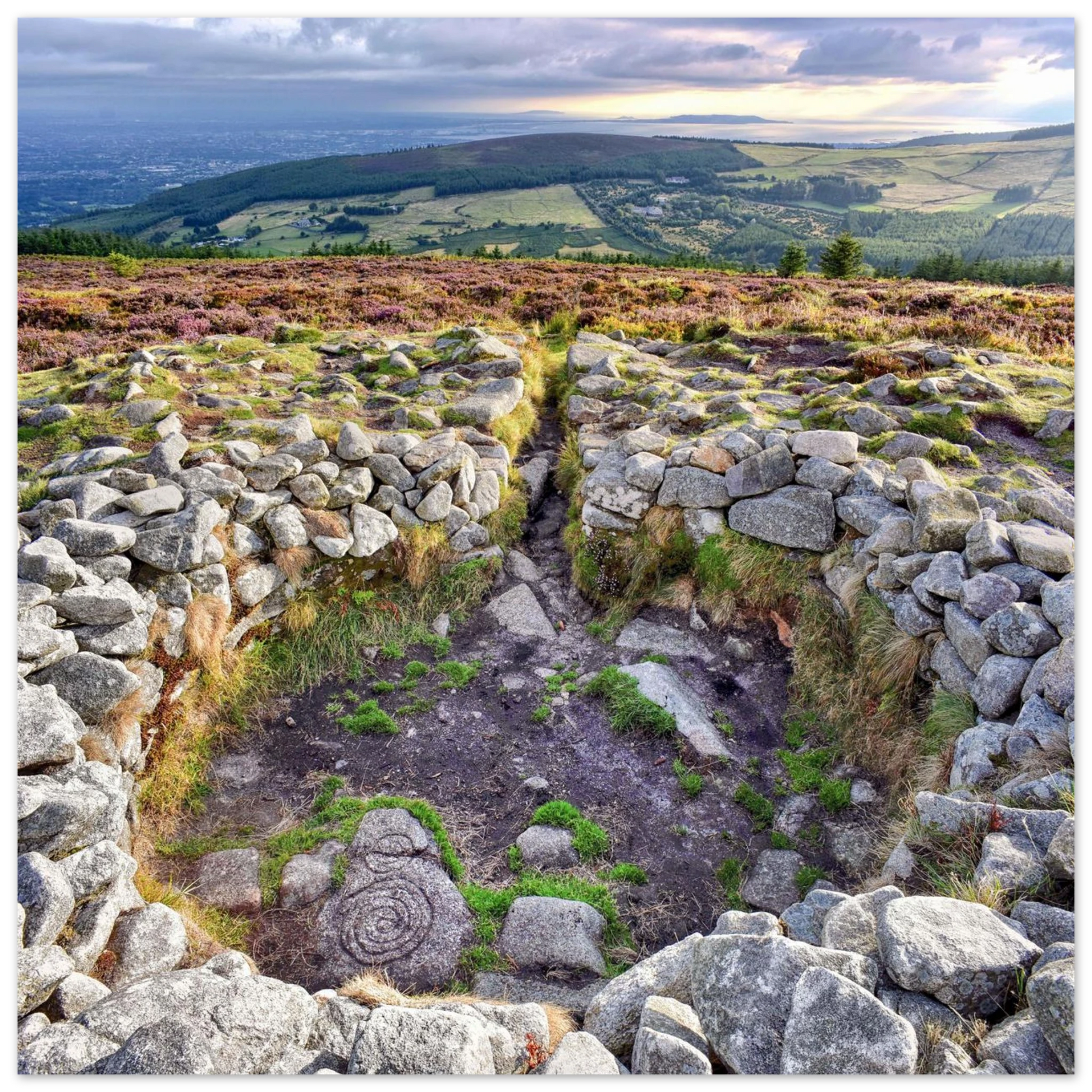 3d7a0050-867c-44e4-bb17-0b62b387f278