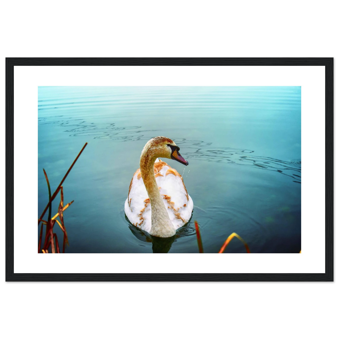 3d995cb3-8afe-45df-9542-a08bc0bd536e