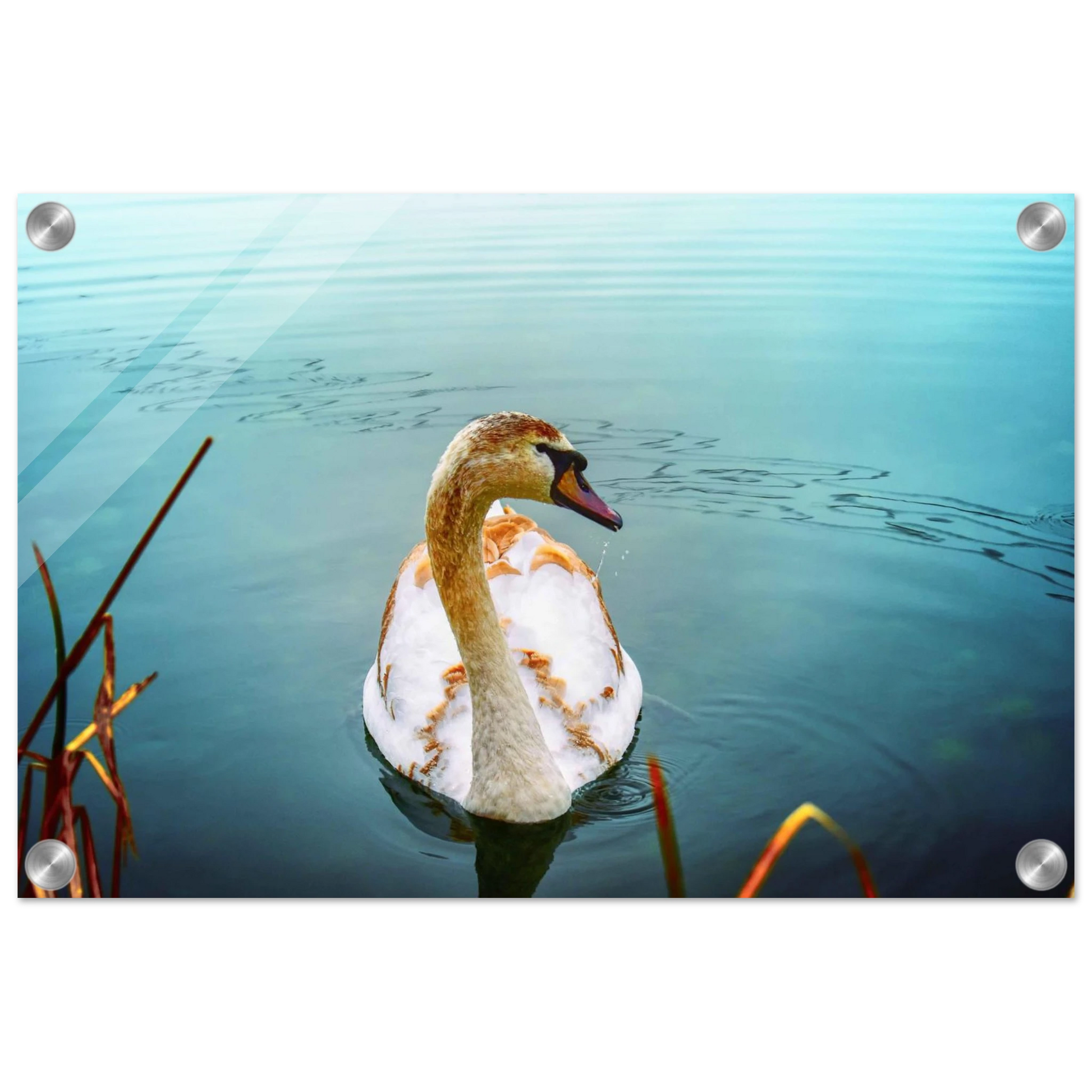 3d9adc60-5777-4f3e-b8eb-423c4c7f5a12