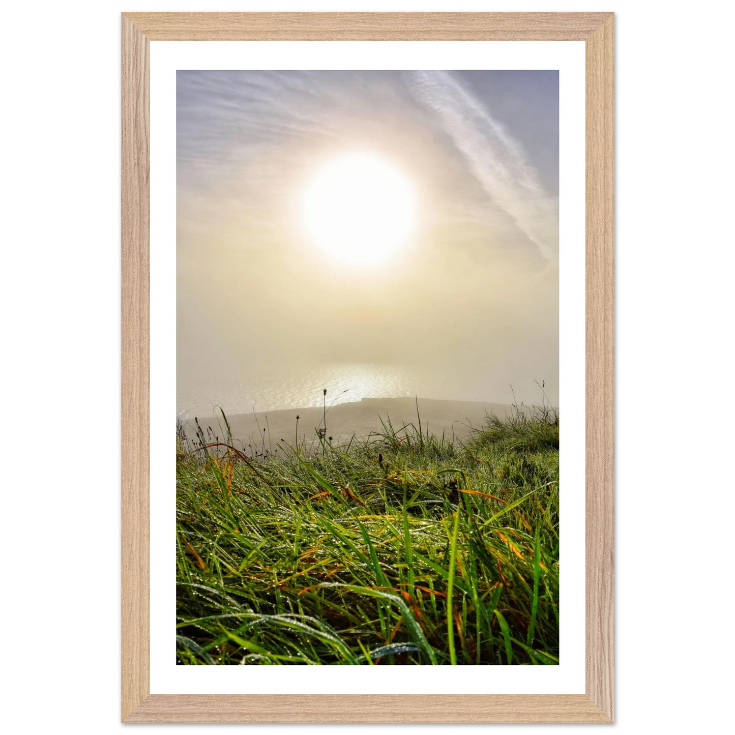 3e369bd6-ea69-4eee-abf4-5ee64bbd3b4b