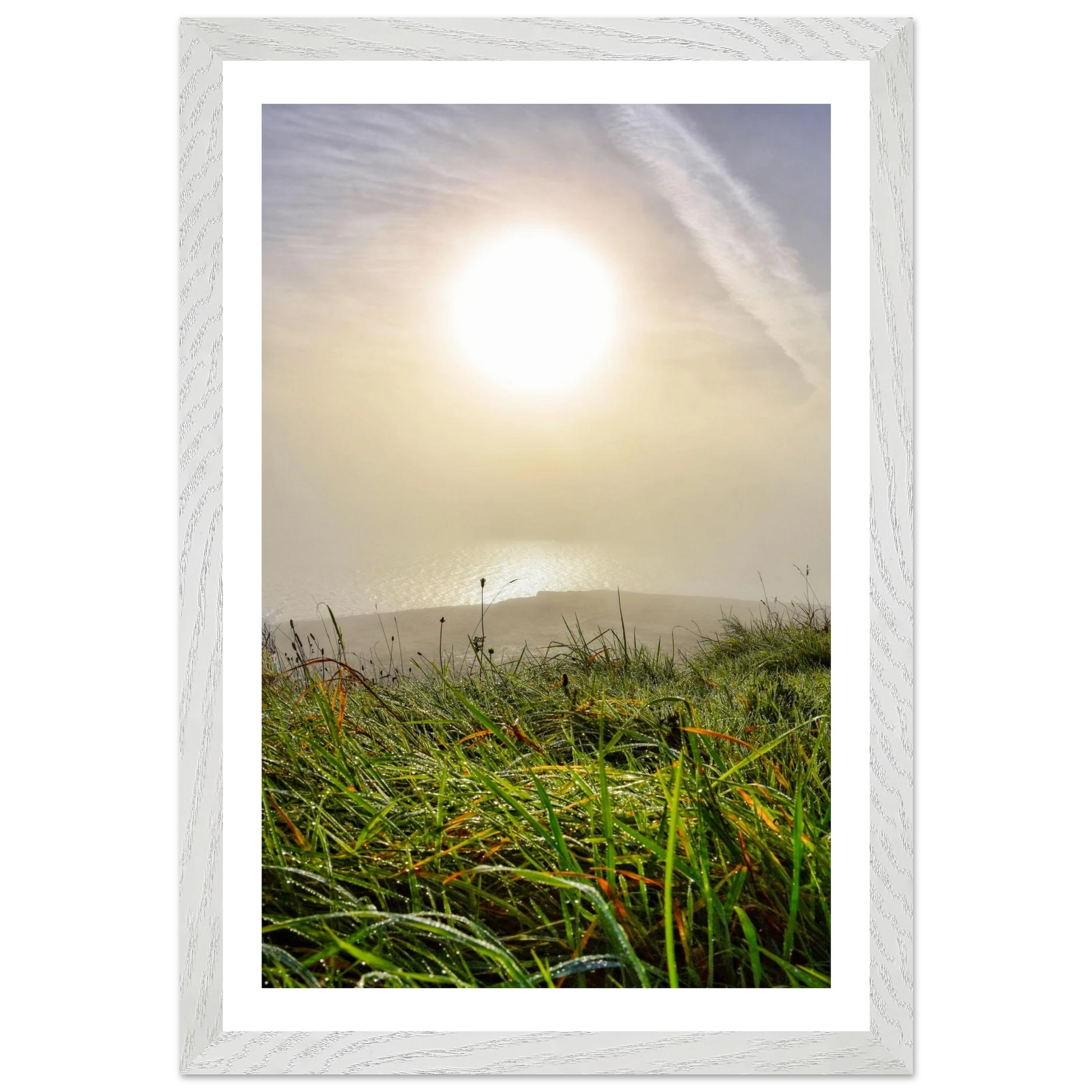 3e9d929d-0ec6-487f-b724-89707d8c17f5