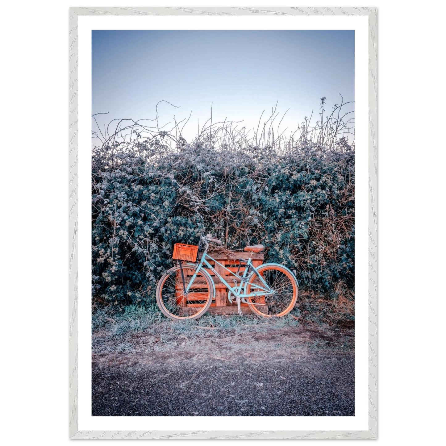 3ed8600c-0754-4f62-8607-1d48b53eb2c2