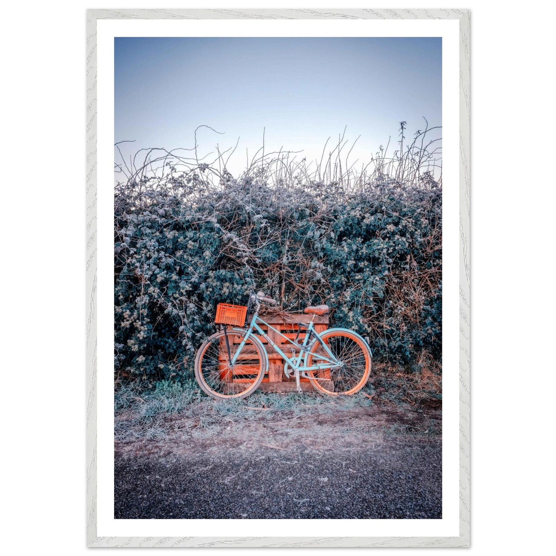 3ed8600c-0754-4f62-8607-1d48b53eb2c2