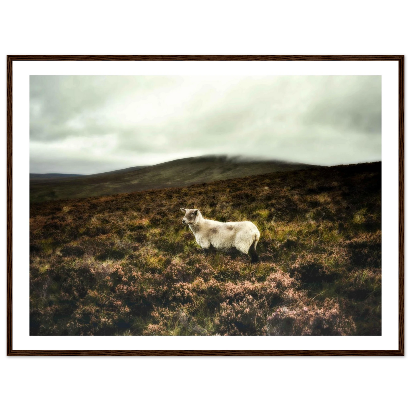 3ef5e848-fca2-4927-8726-fa8bbfe0f8a3