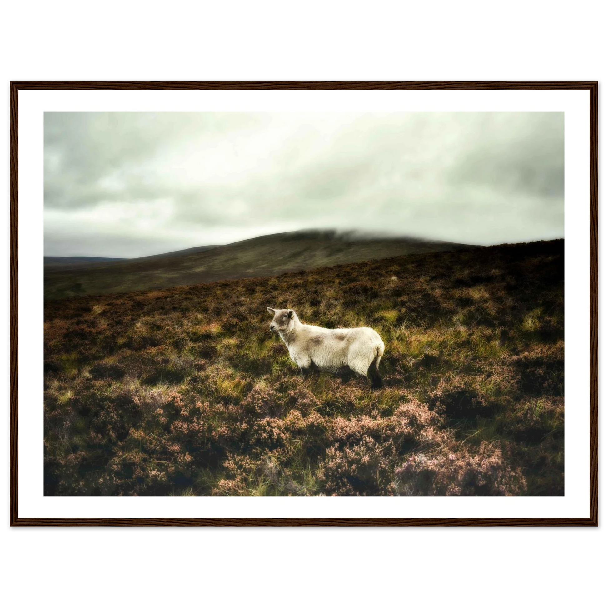 3ef5e848-fca2-4927-8726-fa8bbfe0f8a3