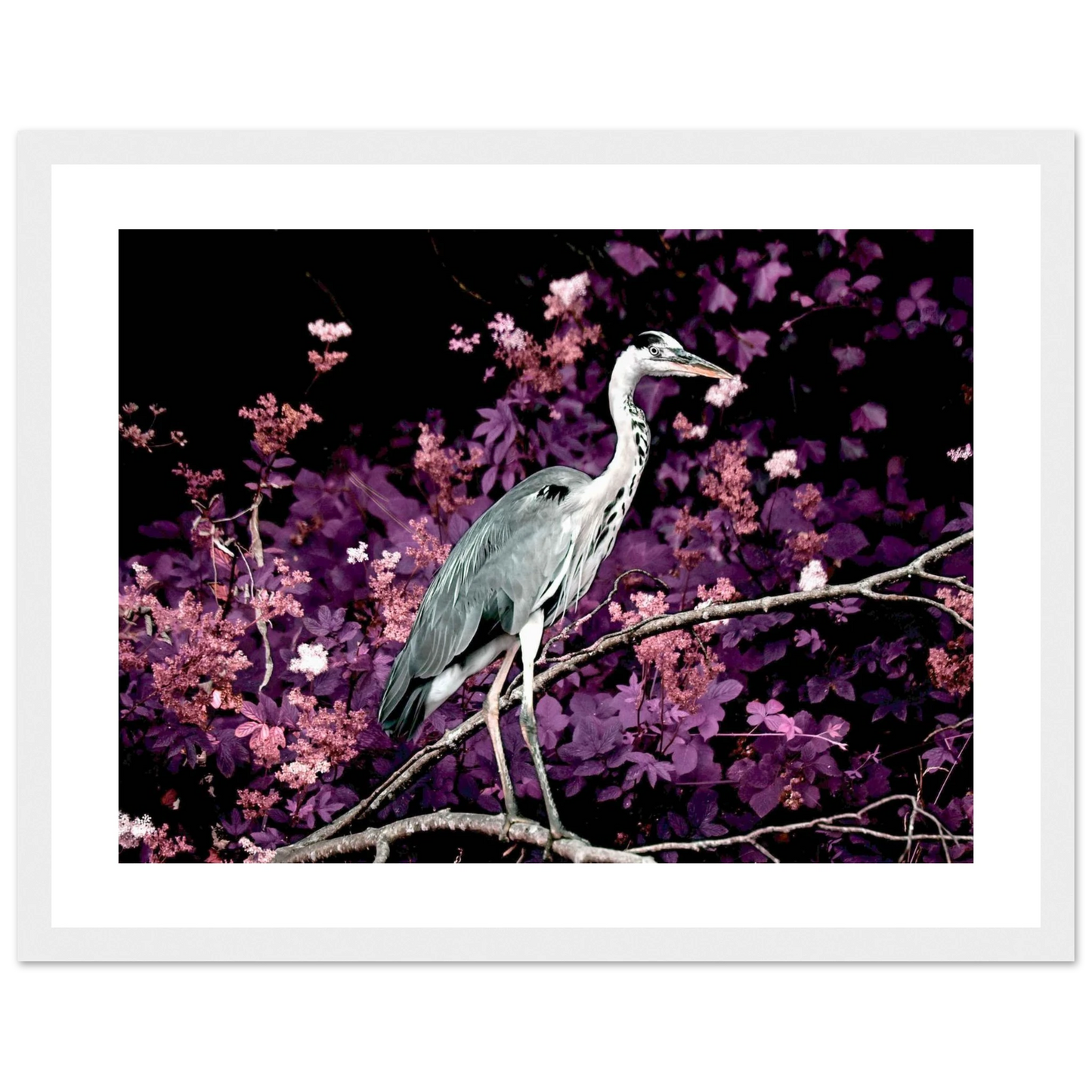 3f0ee526-4597-46ea-b7e3-be0bb03c7576