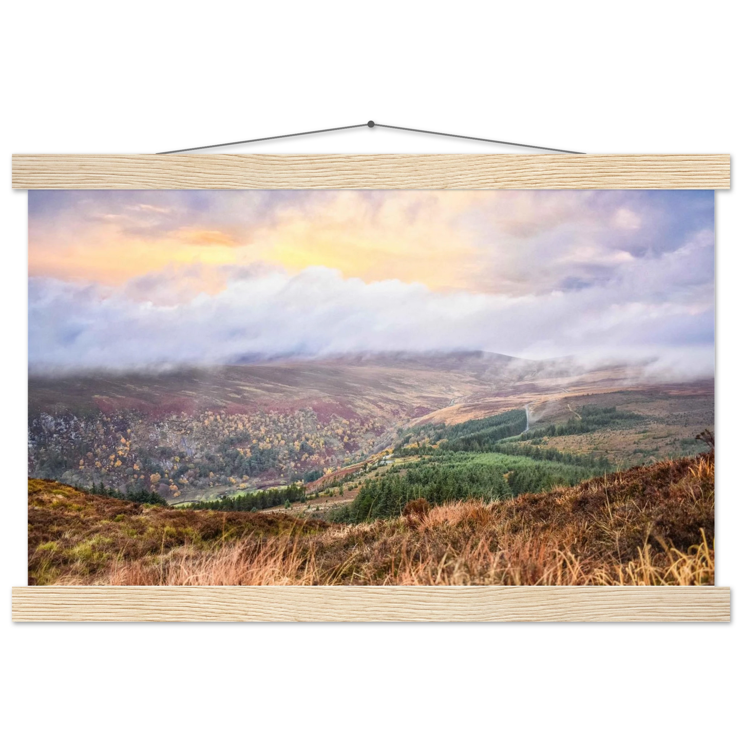 3f343d76-21b9-4a5d-9092-7673f38ac612