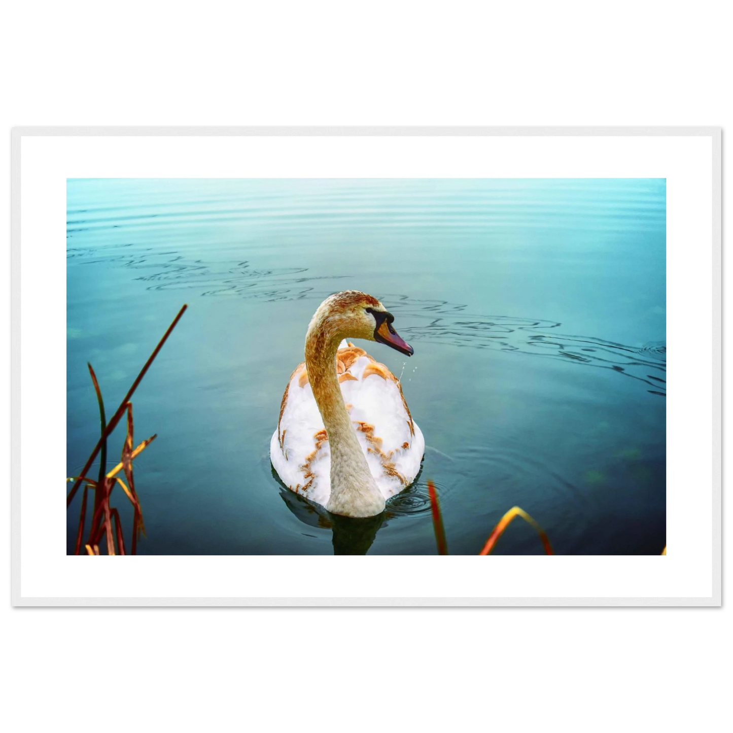 3fc3da7d-03ed-42d9-9515-2f5aa1f1ea68