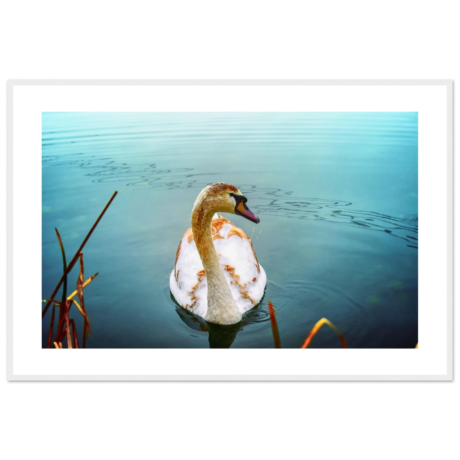 3fc3da7d-03ed-42d9-9515-2f5aa1f1ea68