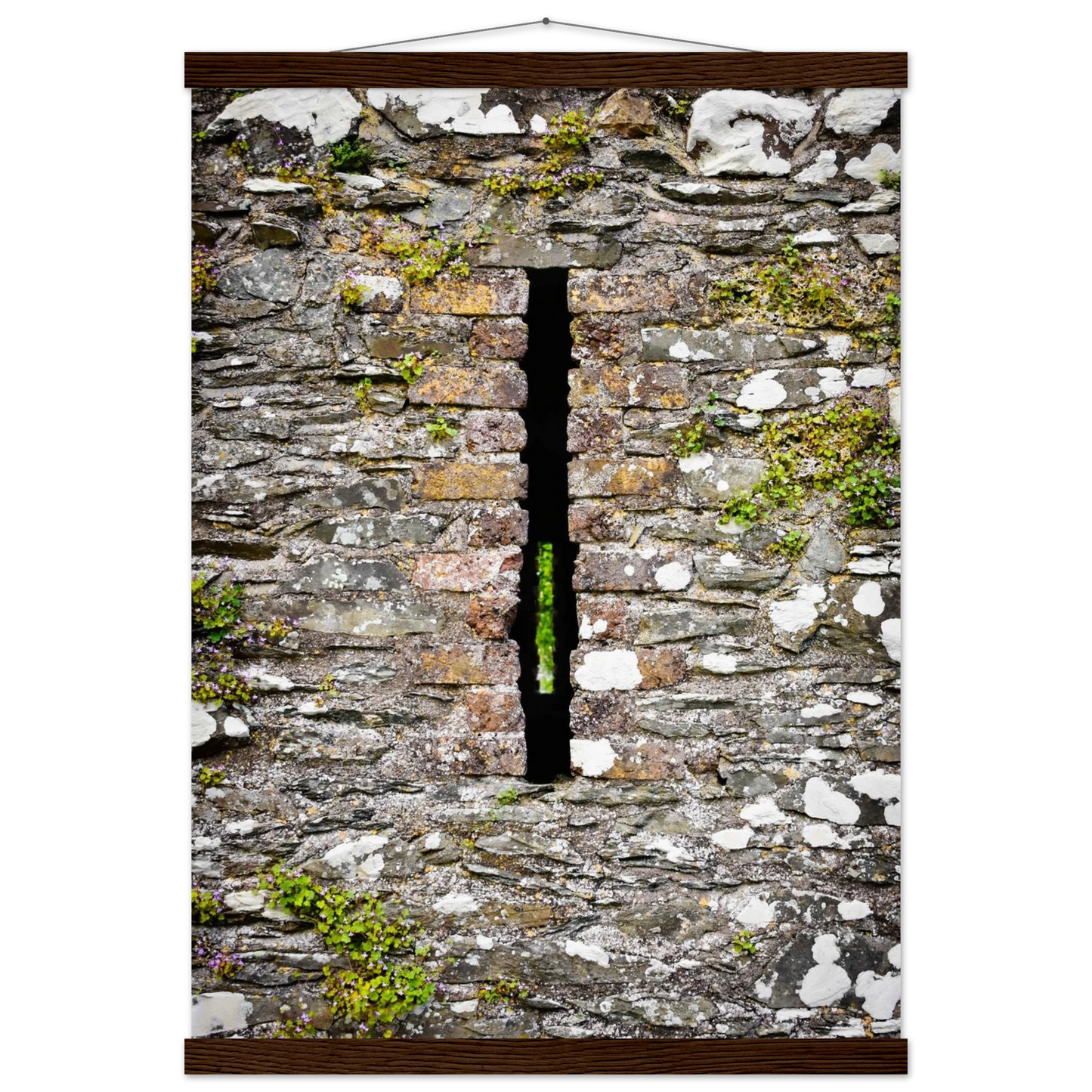 40221700-6c97-4e14-848a-2525df856a62