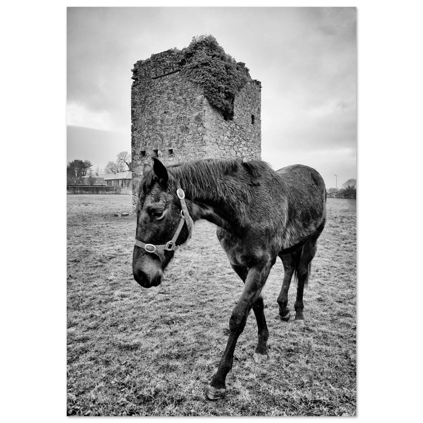 402982ff-427d-4469-be52-55244278dab1