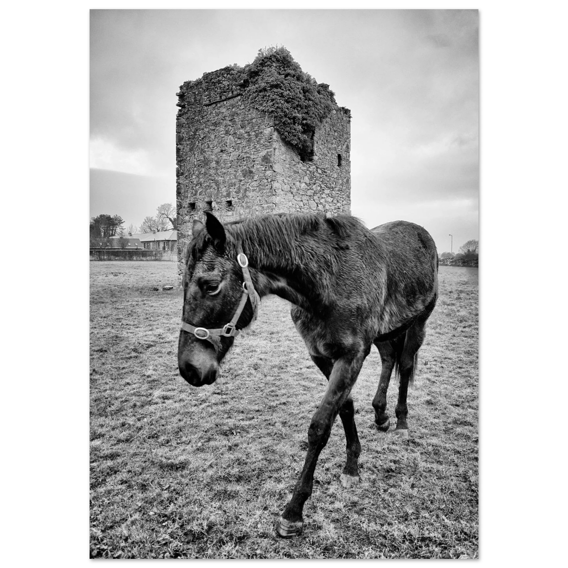 402982ff-427d-4469-be52-55244278dab1