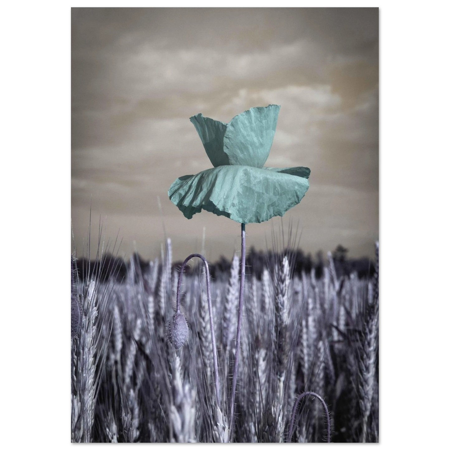 40315259-ff55-45f3-8350-cfc03735a65b