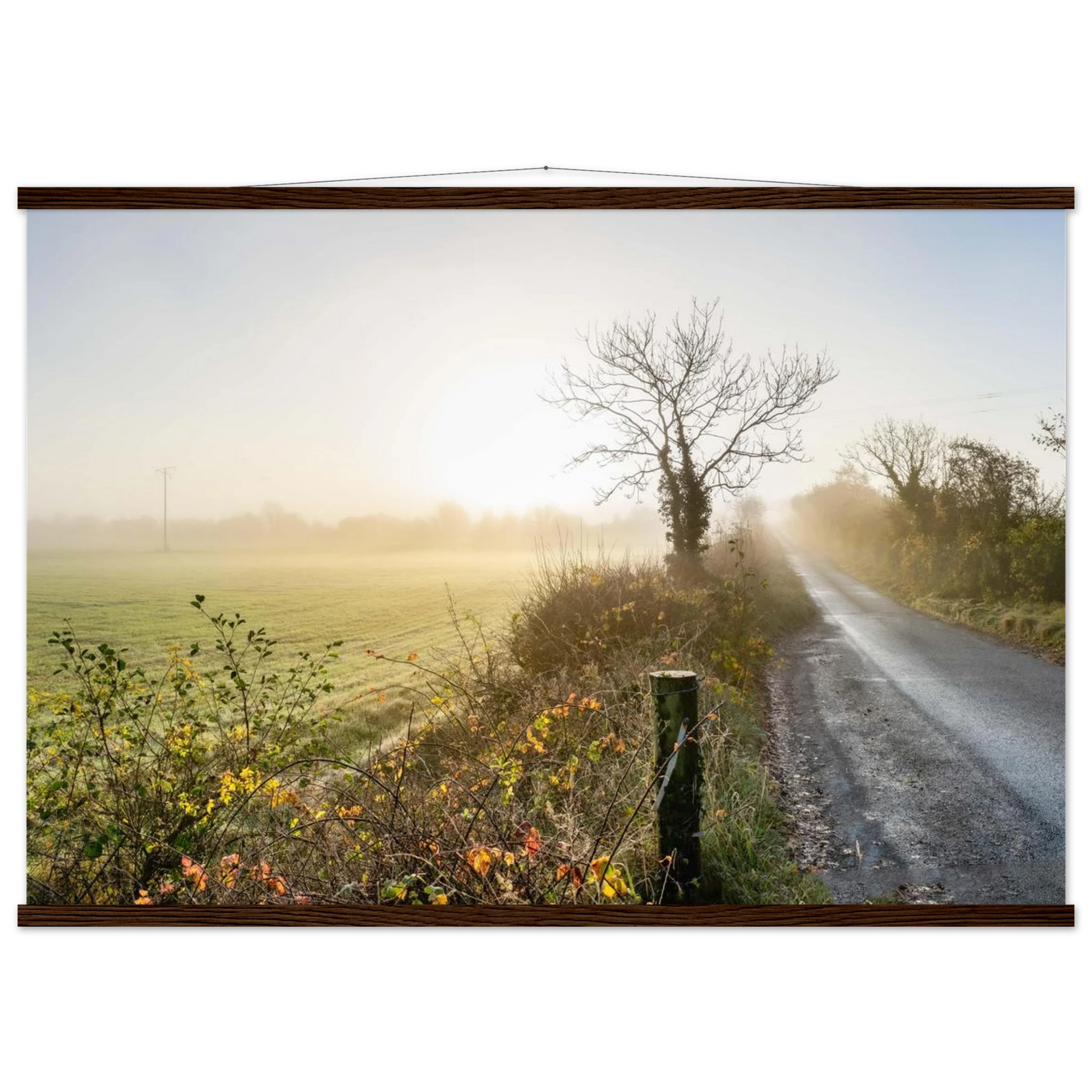 4038a05d-c53e-4e05-b321-9e7ca6d2cf96